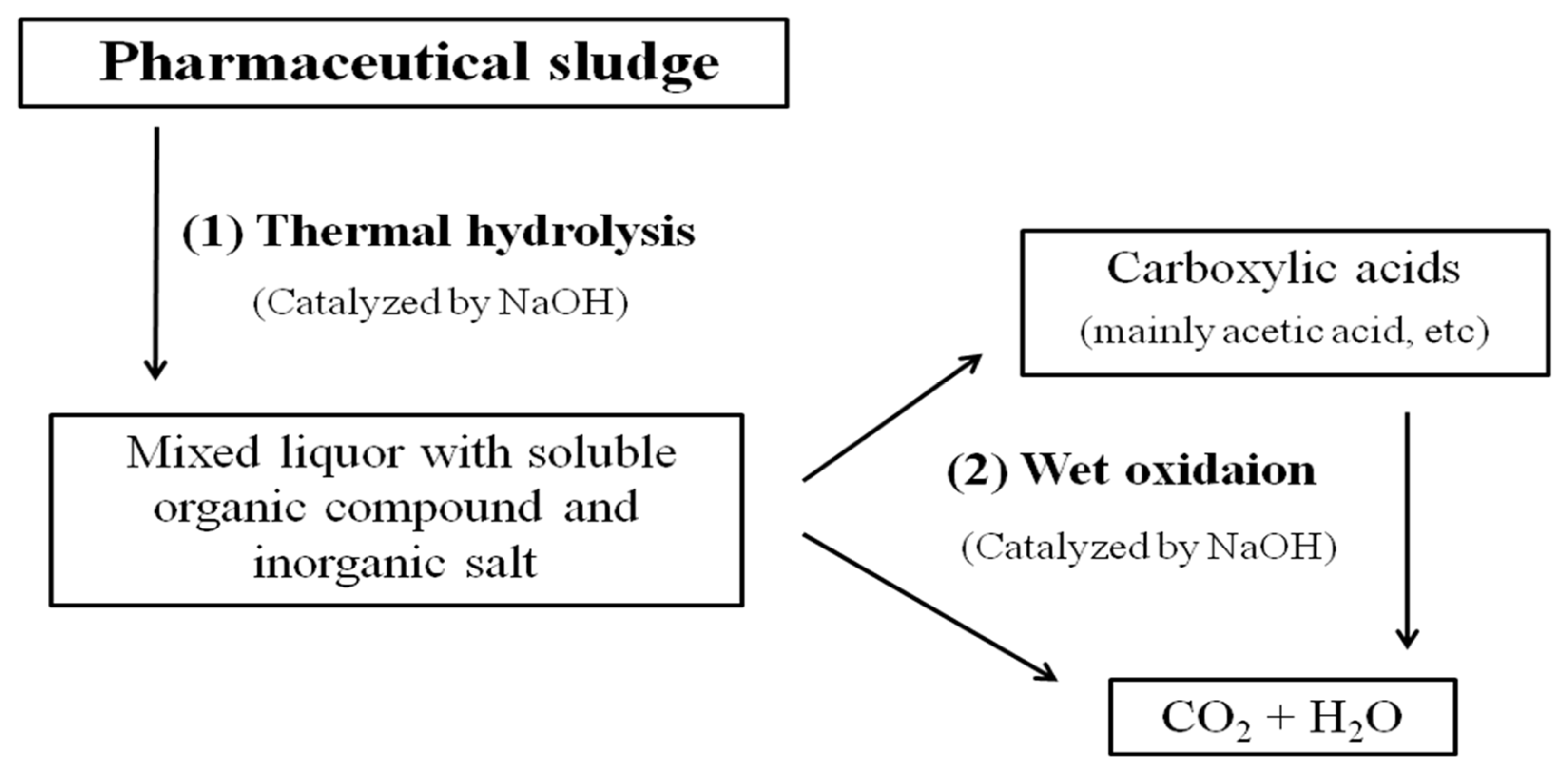 Catalysts 13 01070 g007 Catalysts 13 01070 g007