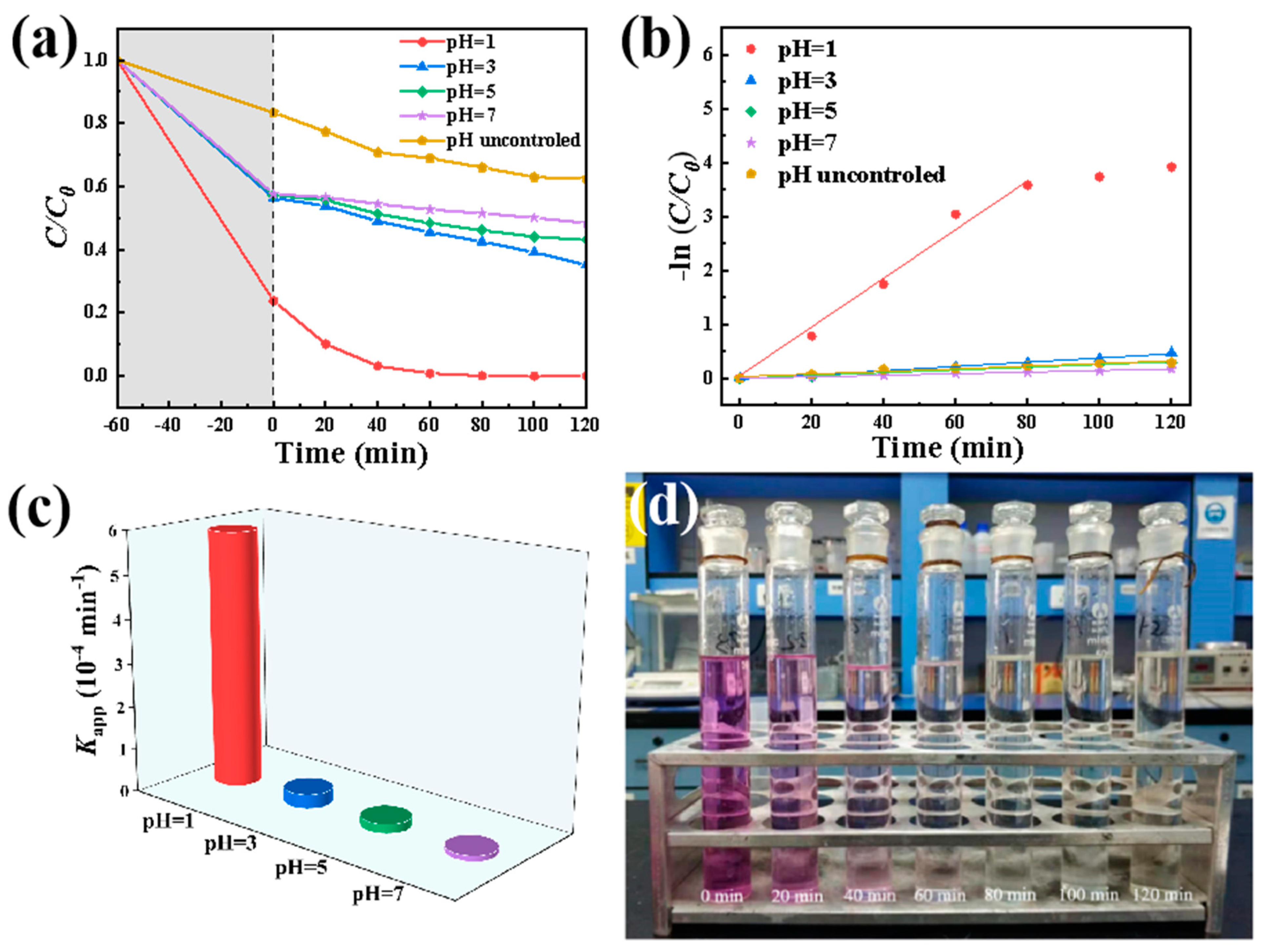 Catalysts 13 01073 g009 Catalysts 13 01073 g009