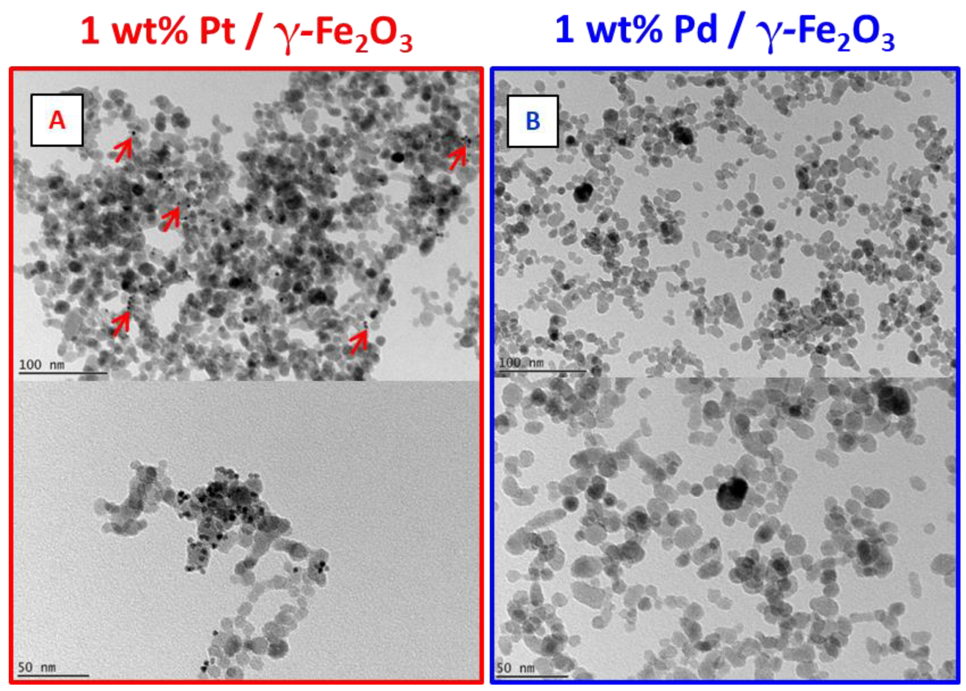 Catalysts 13 01074 g002
