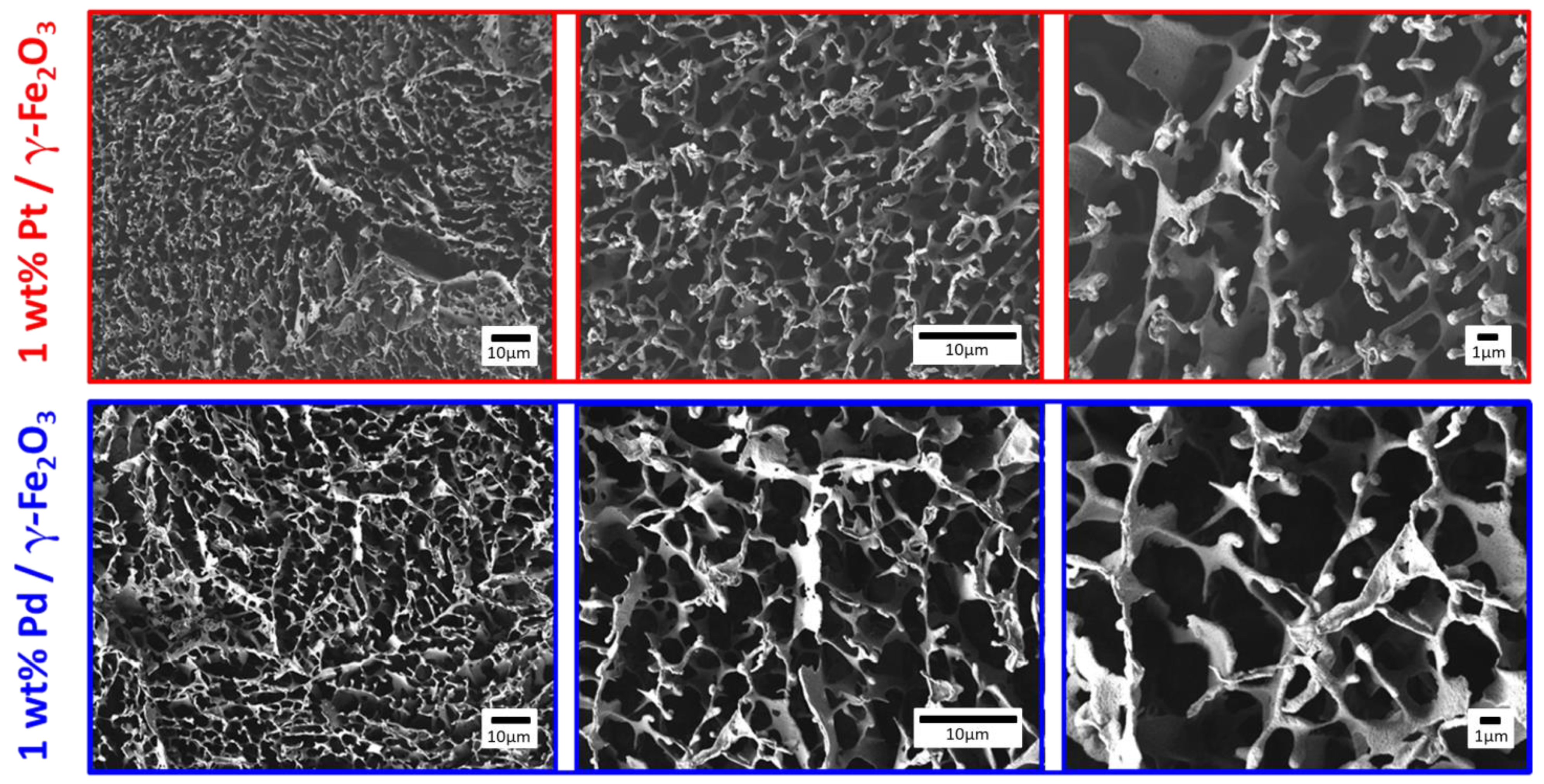 Catalysts 13 01074 g003