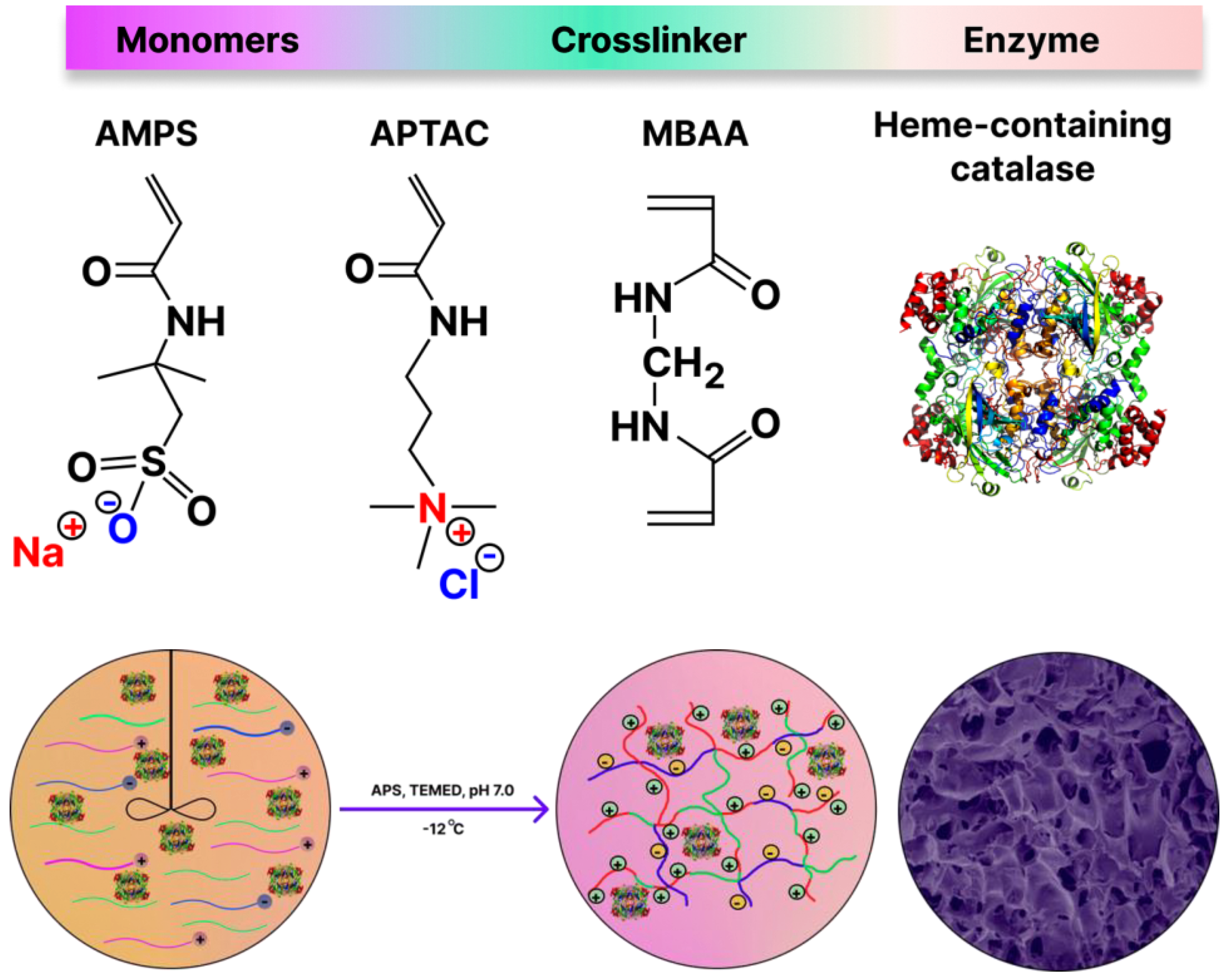 Catalysts 13 01075 g001 Catalysts 13 01075 g001