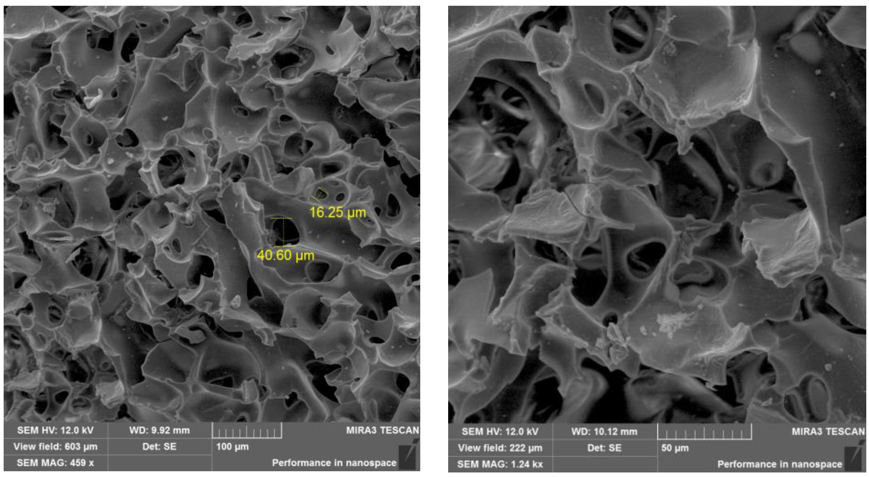 Catalysts 13 01075 g002 Catalysts 13 01075 g002
