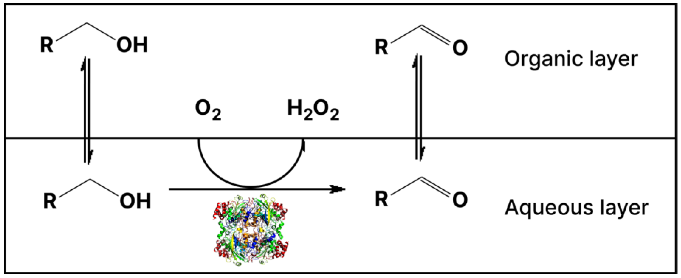 Catalysts 13 01075 g011 Catalysts 13 01075 g011