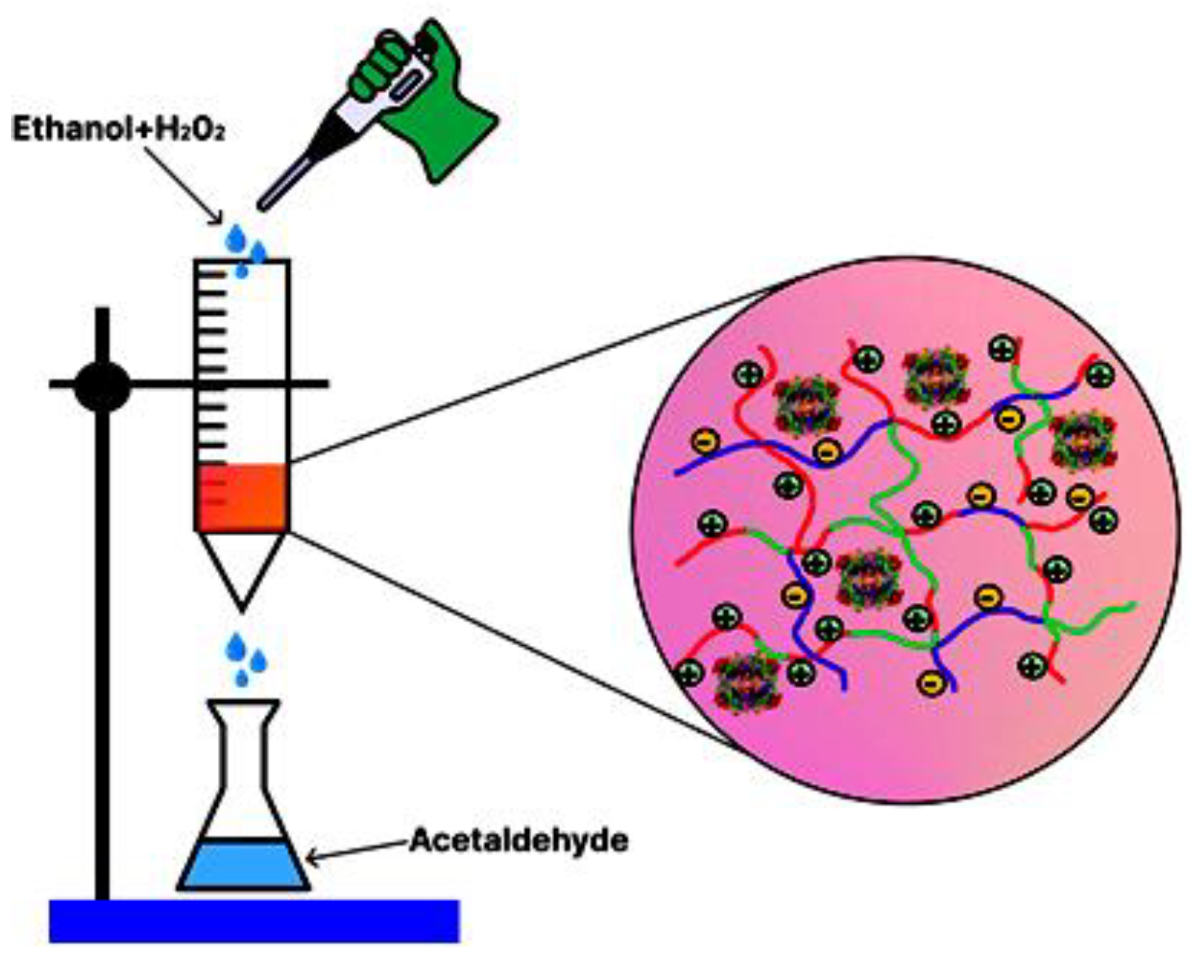 Catalysts 13 01075 g012 Catalysts 13 01075 g012