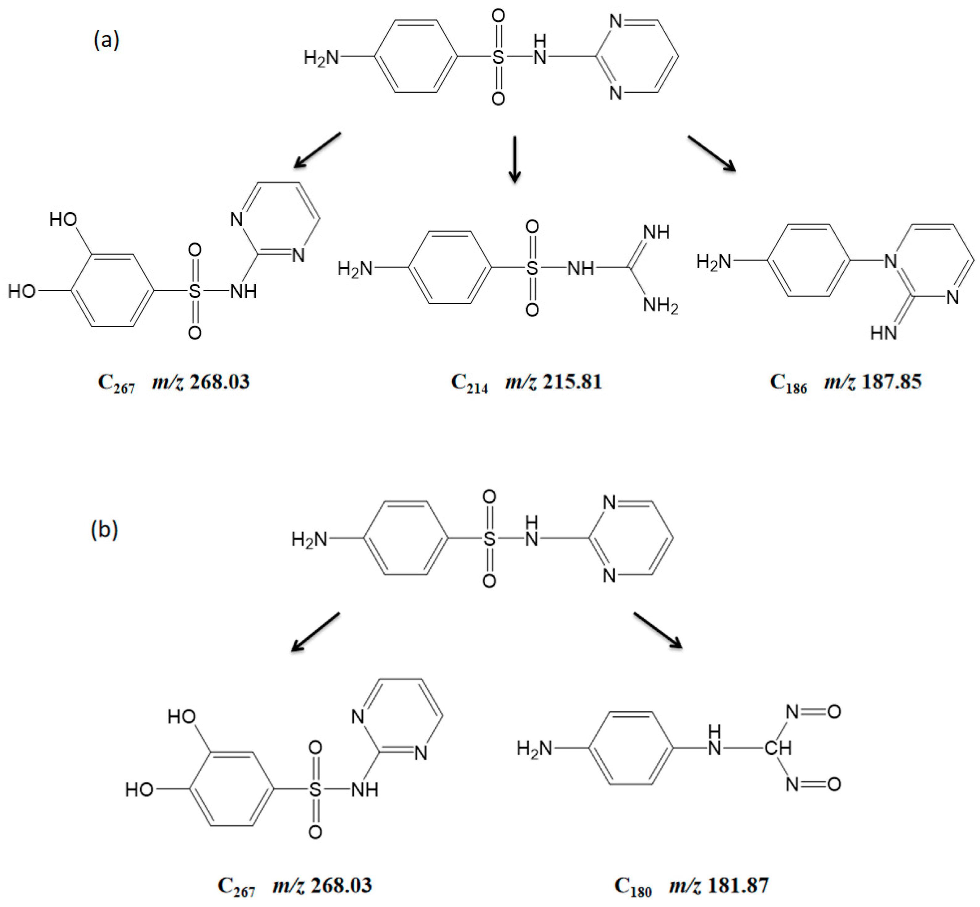 Catalysts 13 01076 g009 550
