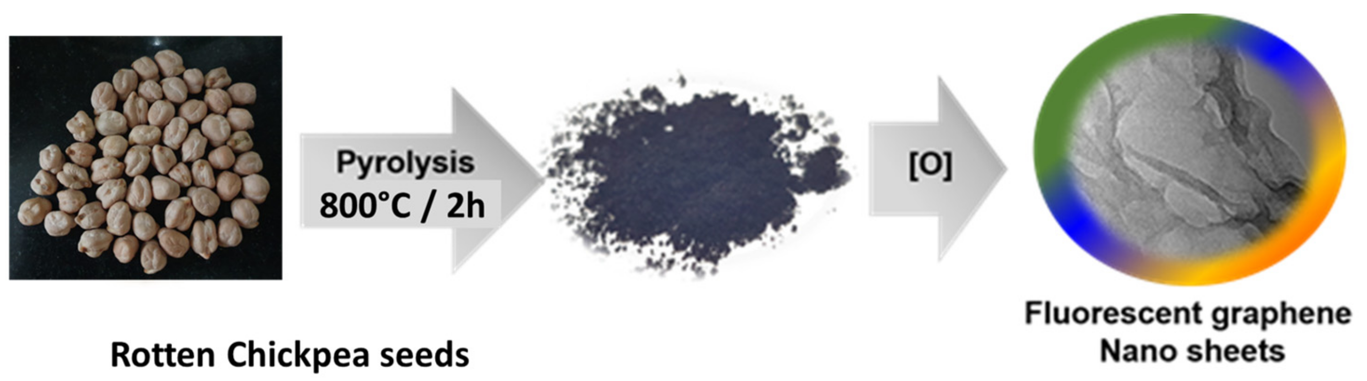 Catalysts 13 01077 g001 Catalysts 13 01077 g001