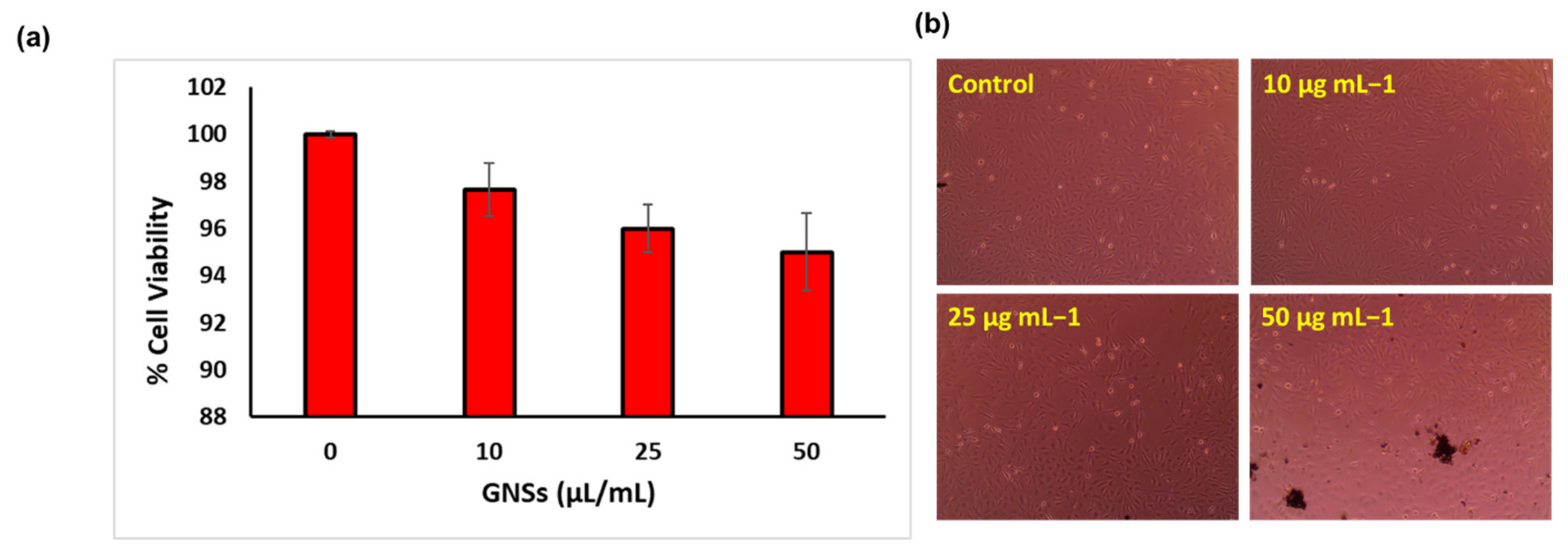 Catalysts 13 01077 g004 Catalysts 13 01077 g004