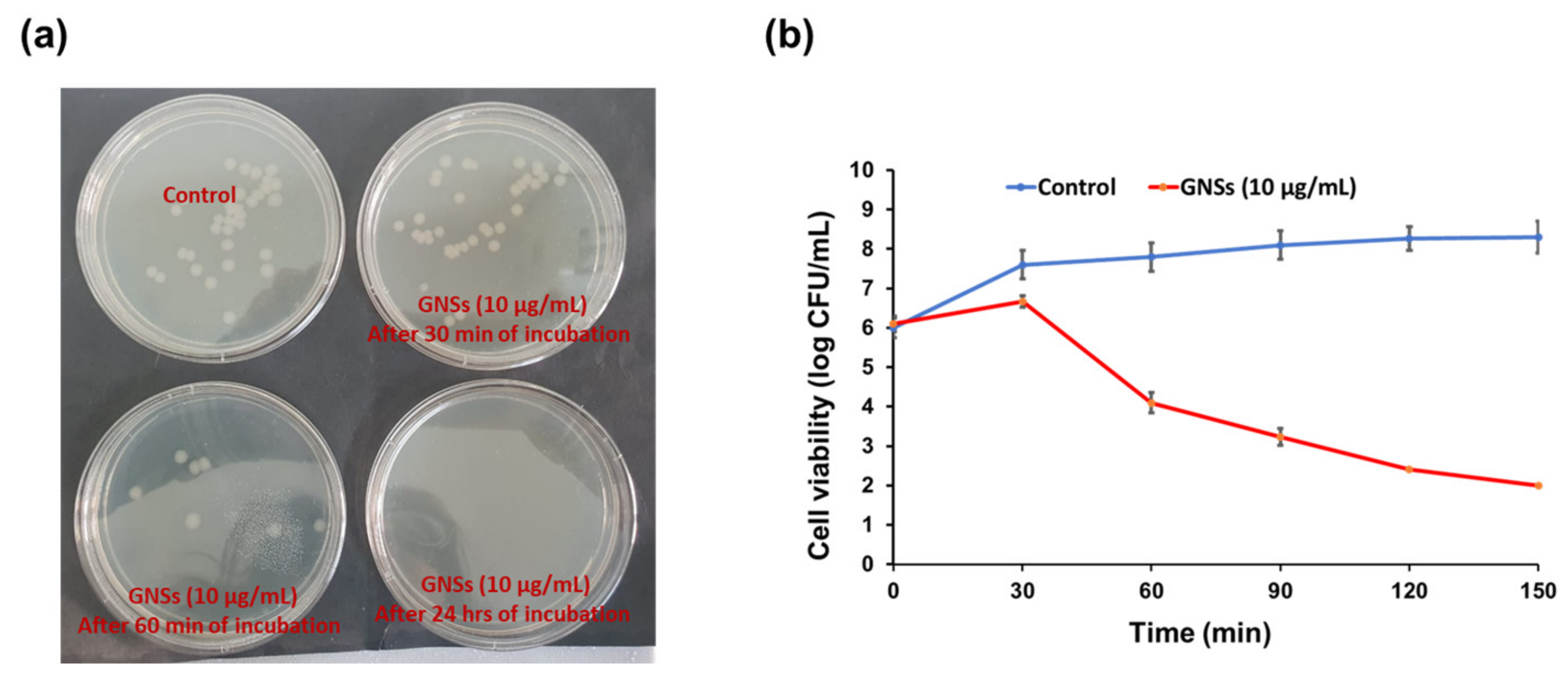 Catalysts 13 01077 g005 Catalysts 13 01077 g005