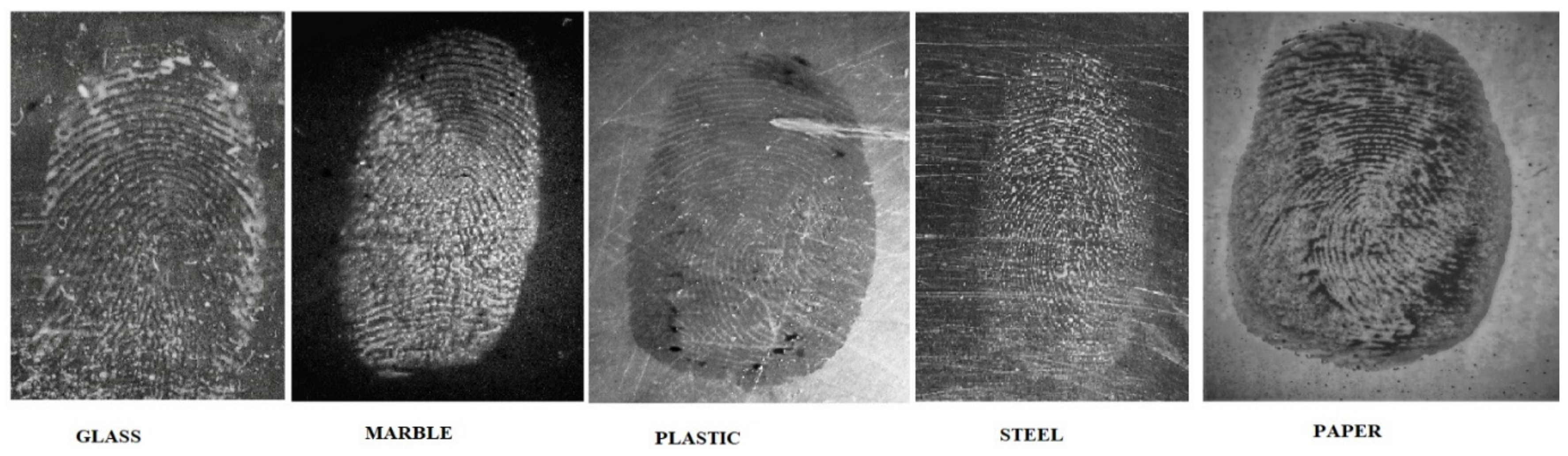 Catalysts 13 01077 g008 Catalysts 13 01077 g008