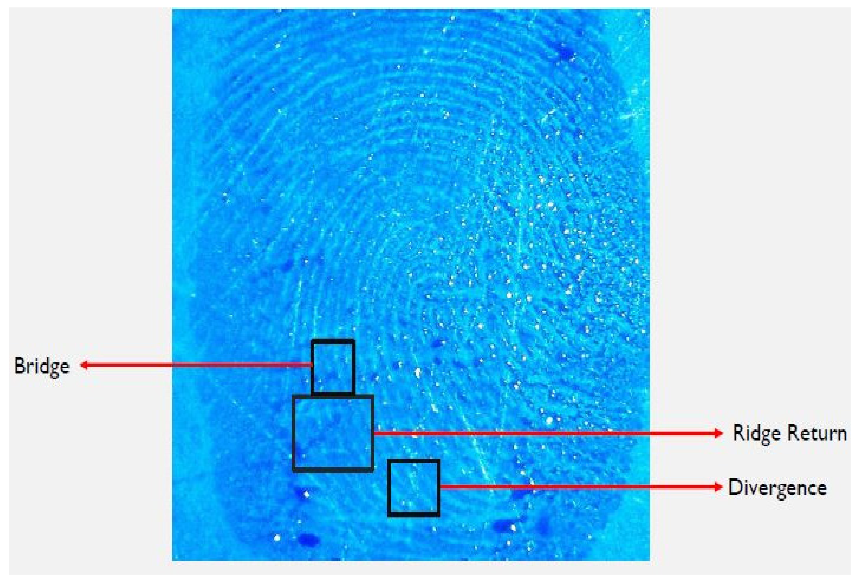 Catalysts 13 01077 g009 Catalysts 13 01077 g009