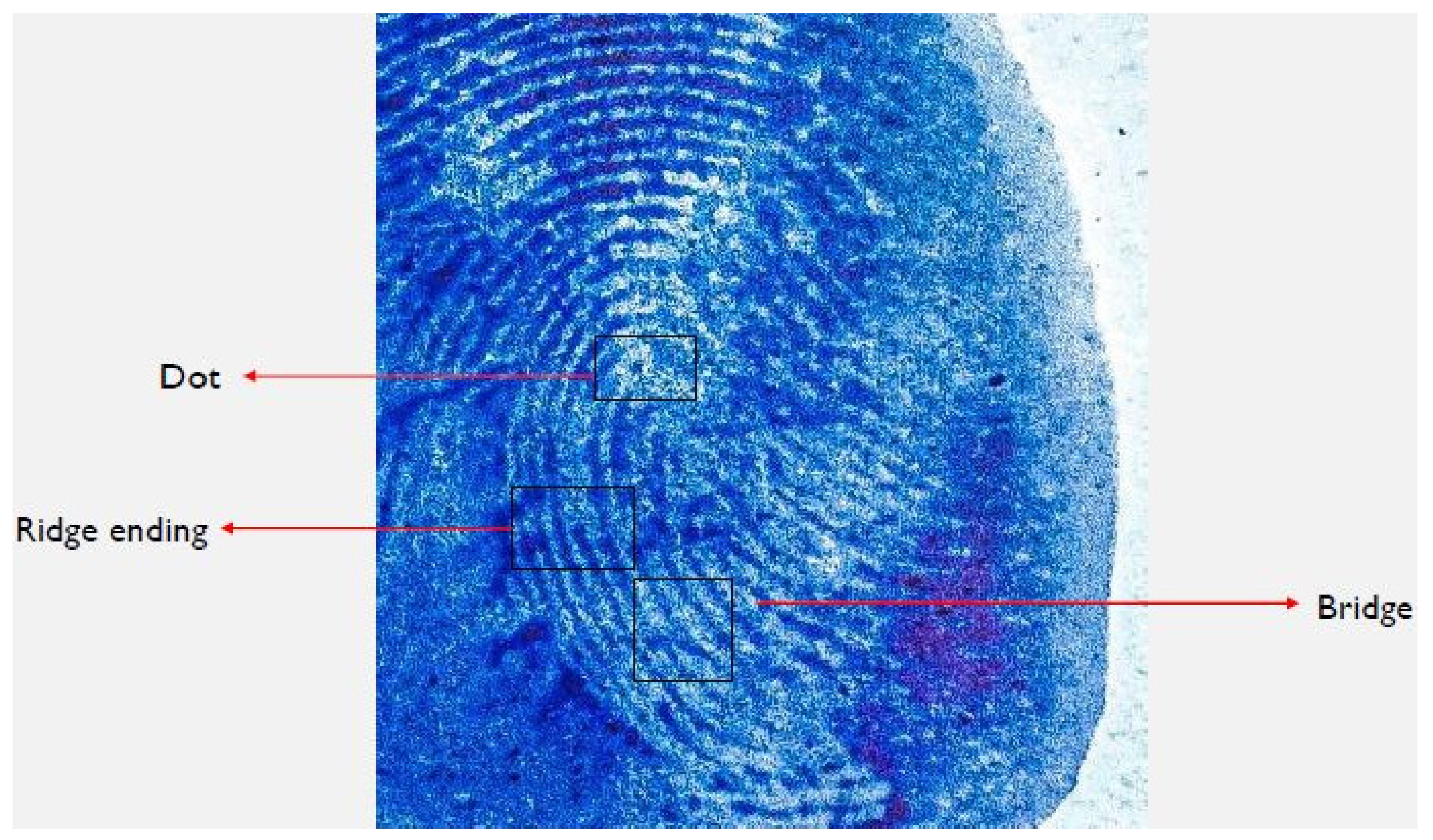 Catalysts 13 01077 g010 Catalysts 13 01077 g010