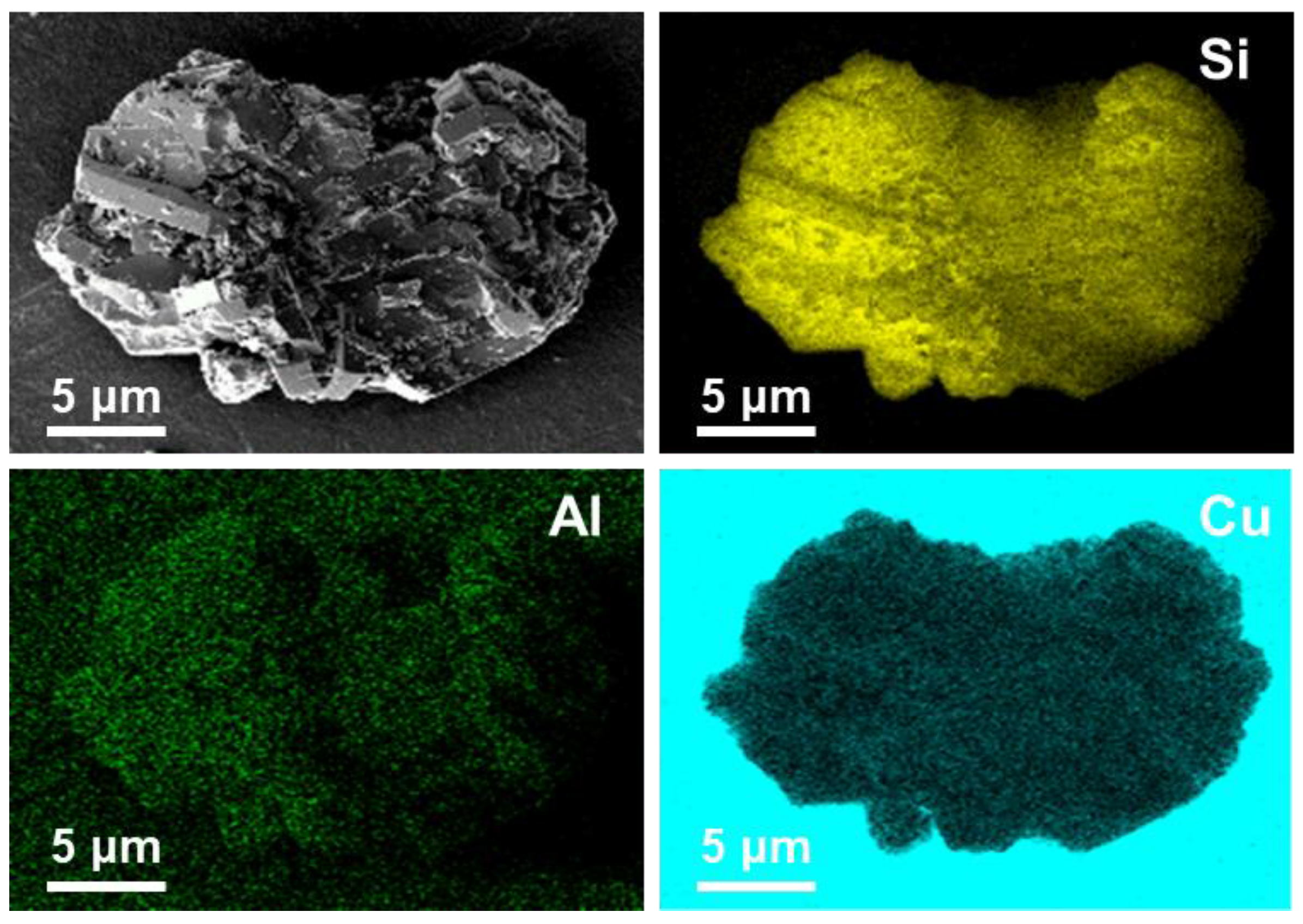 Catalysts 13 01080 g003 Catalysts 13 01080 g003
