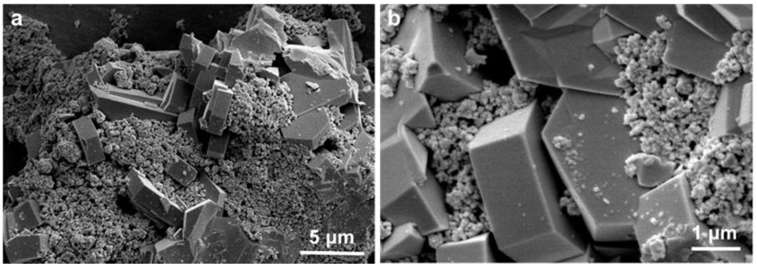 Catalysts 13 01080 g007 Catalysts 13 01080 g007