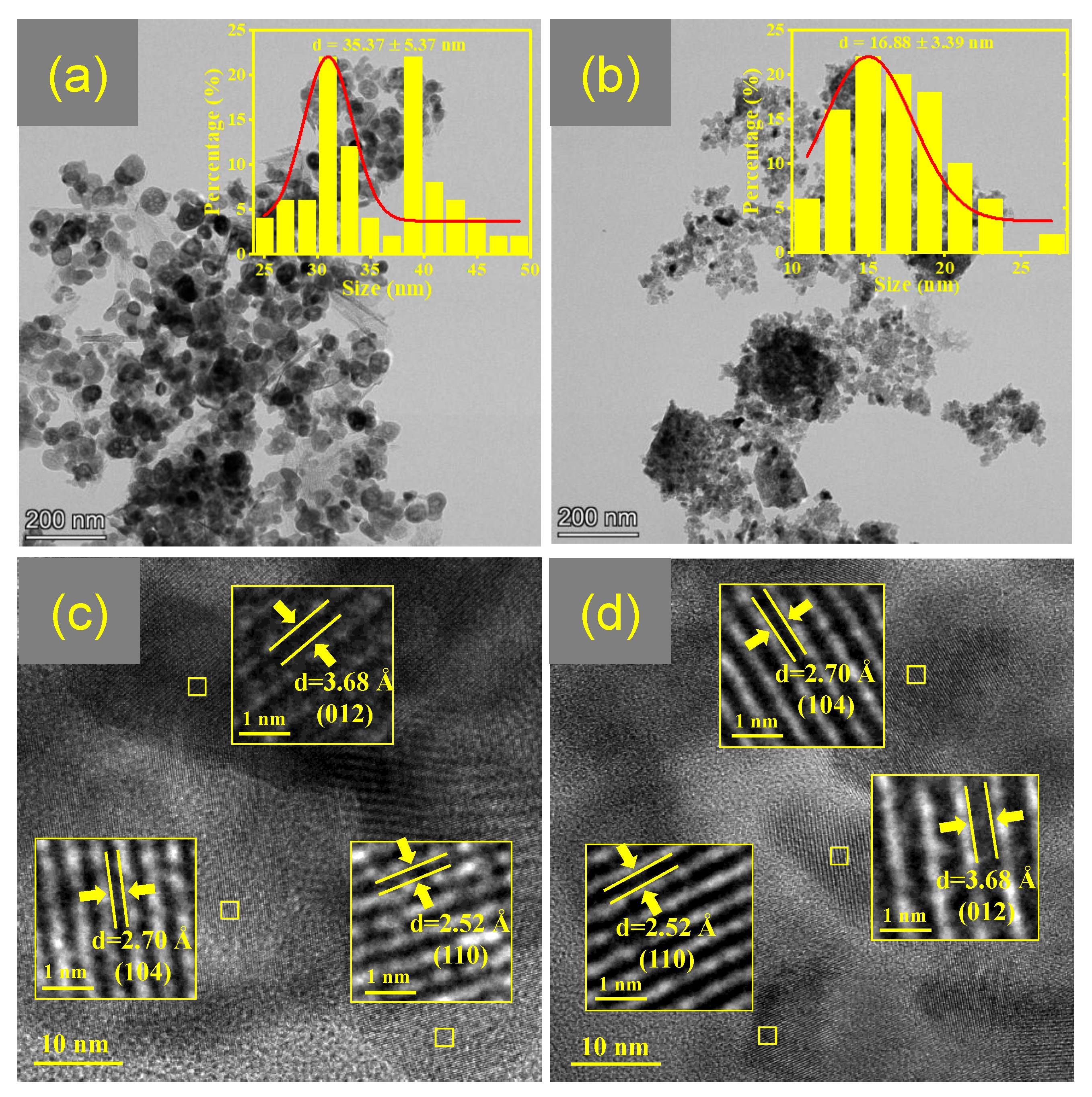 Catalysts 13 01081 g004