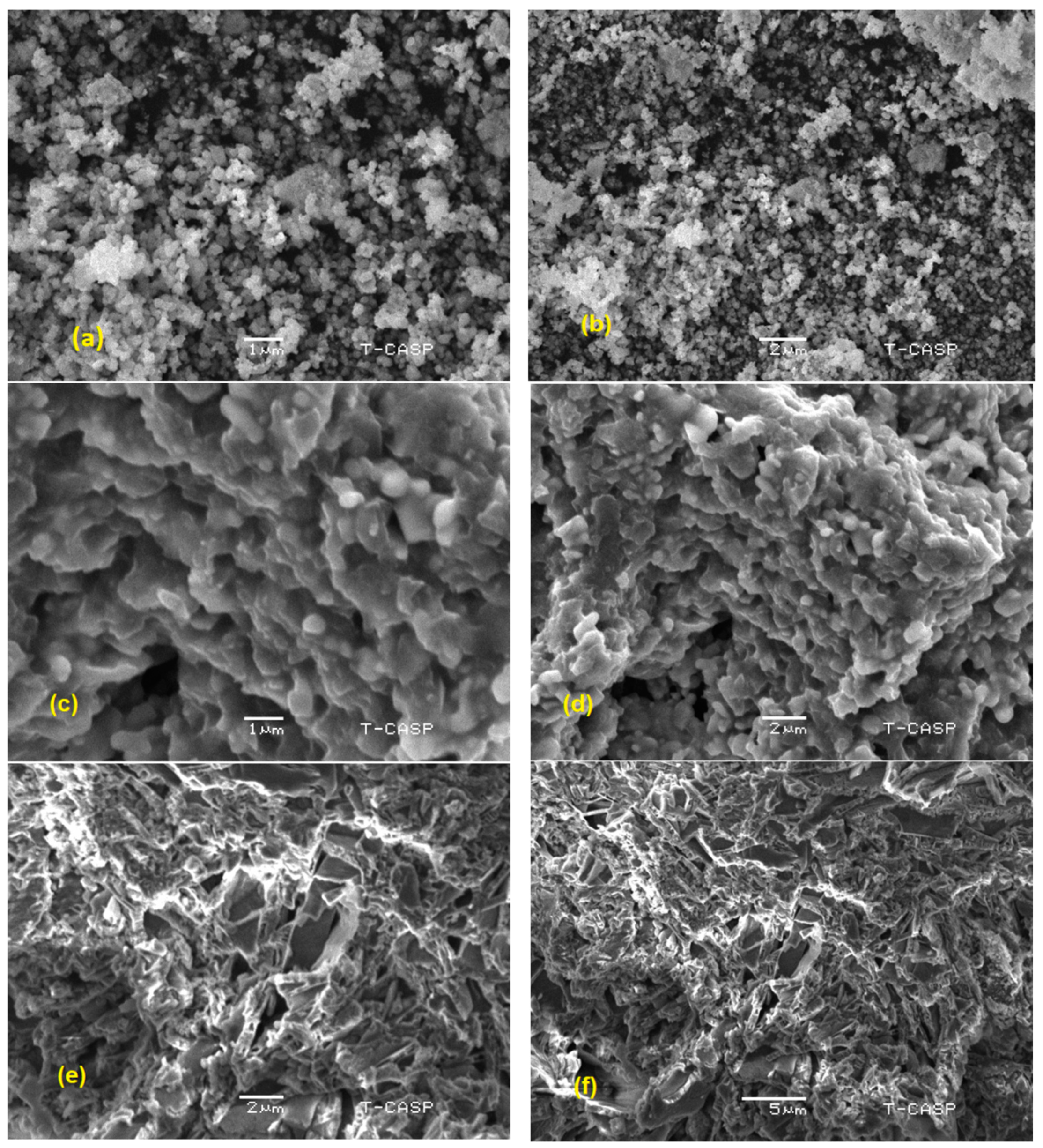 Catalysts 13 01087 g003a Catalysts 13 01087 g003a