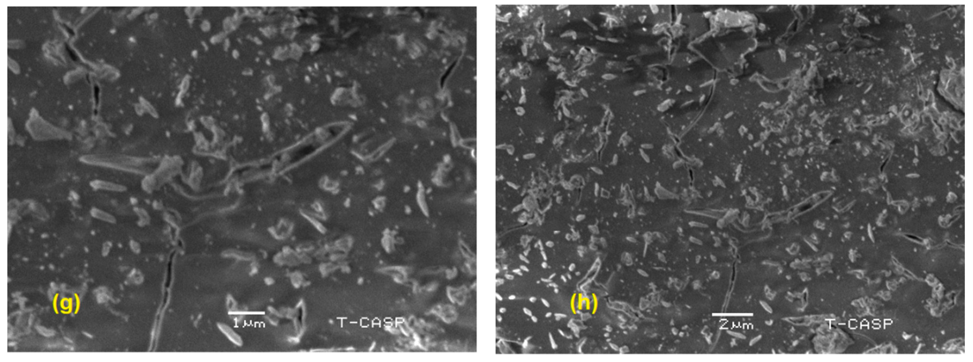 Catalysts 13 01087 g003b Catalysts 13 01087 g003b