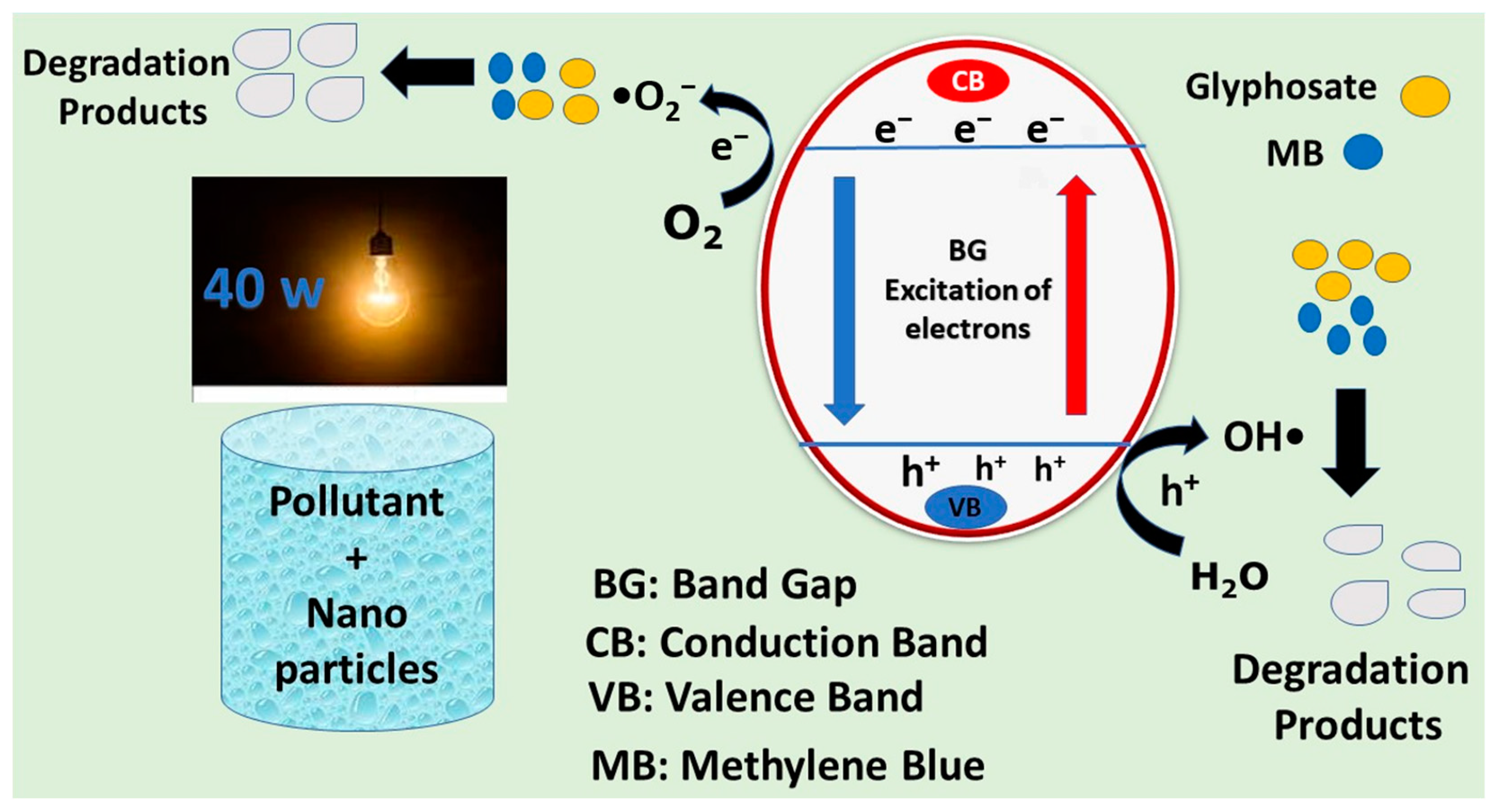 Catalysts 13 01087 g009 Catalysts 13 01087 g009