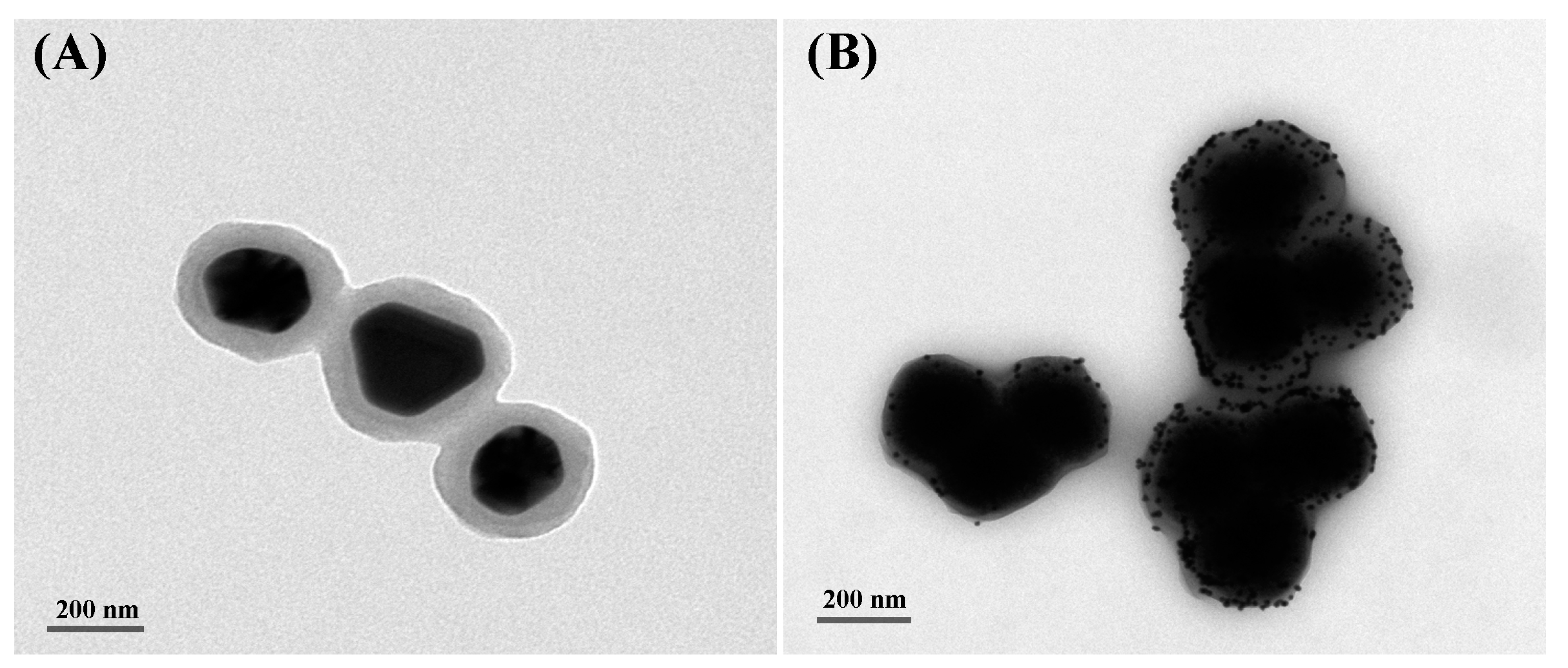 Catalysts 13 01088 g002 Catalysts 13 01088 g002