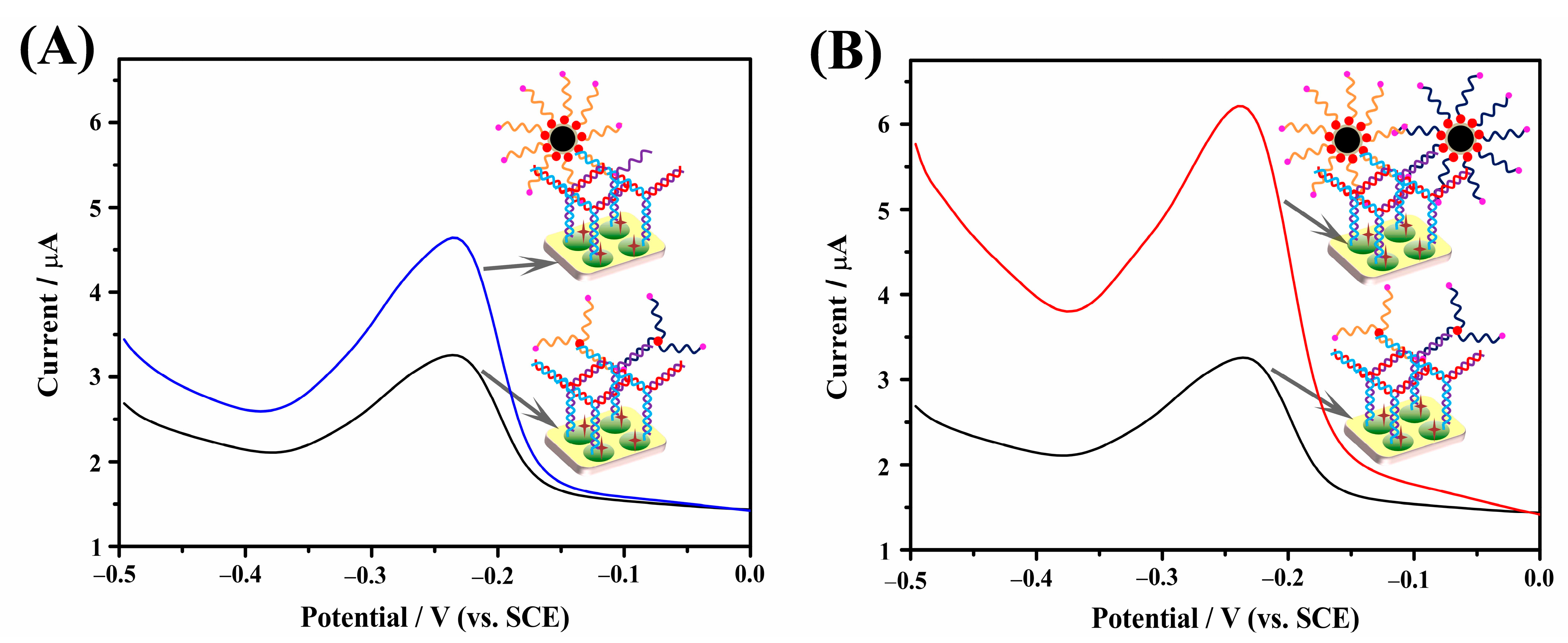 Catalysts 13 01088 g004 Catalysts 13 01088 g004