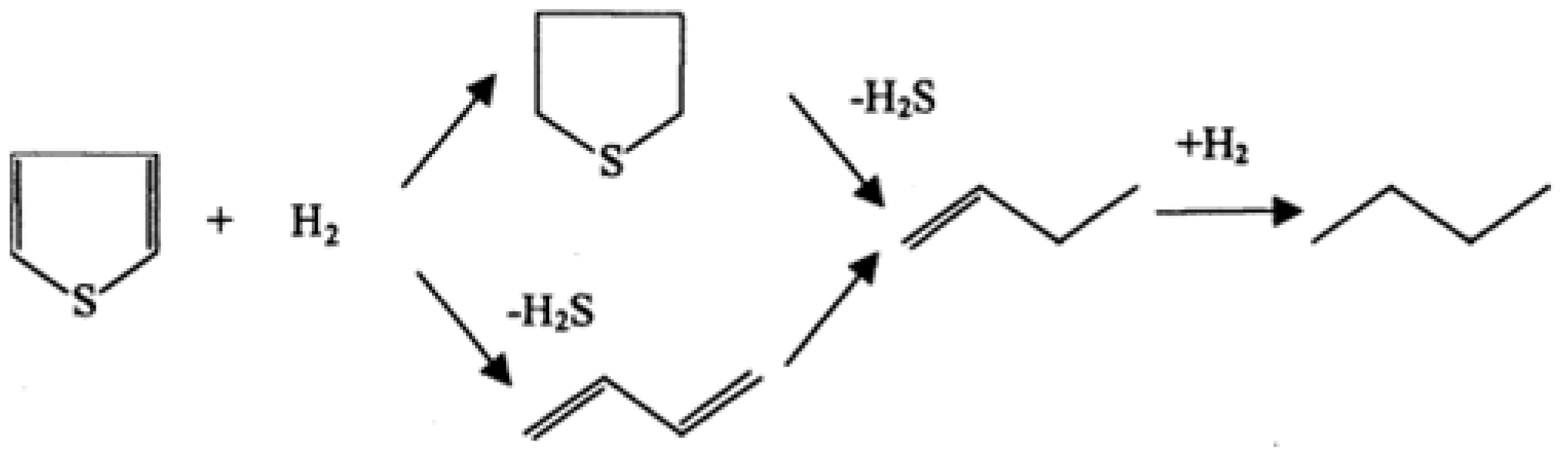 Catalysts 13 01089 g003 Catalysts 13 01089 g003