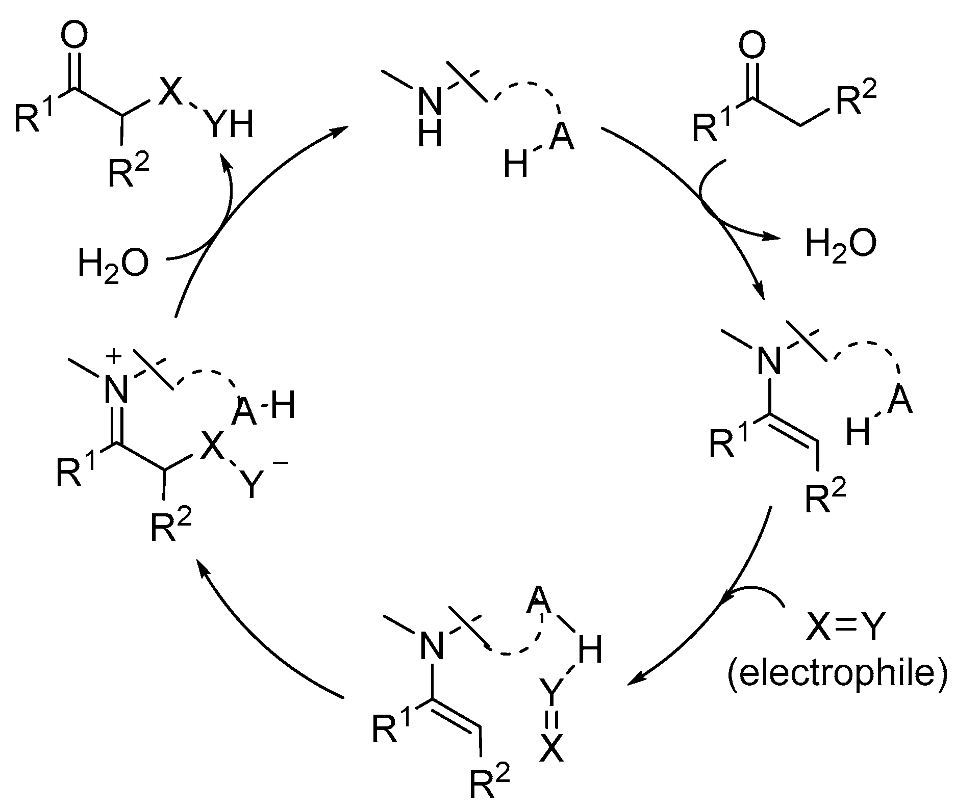 Catalysts Free FullText Asymmetric Dual Enamine Catalysis/Hydrogen
