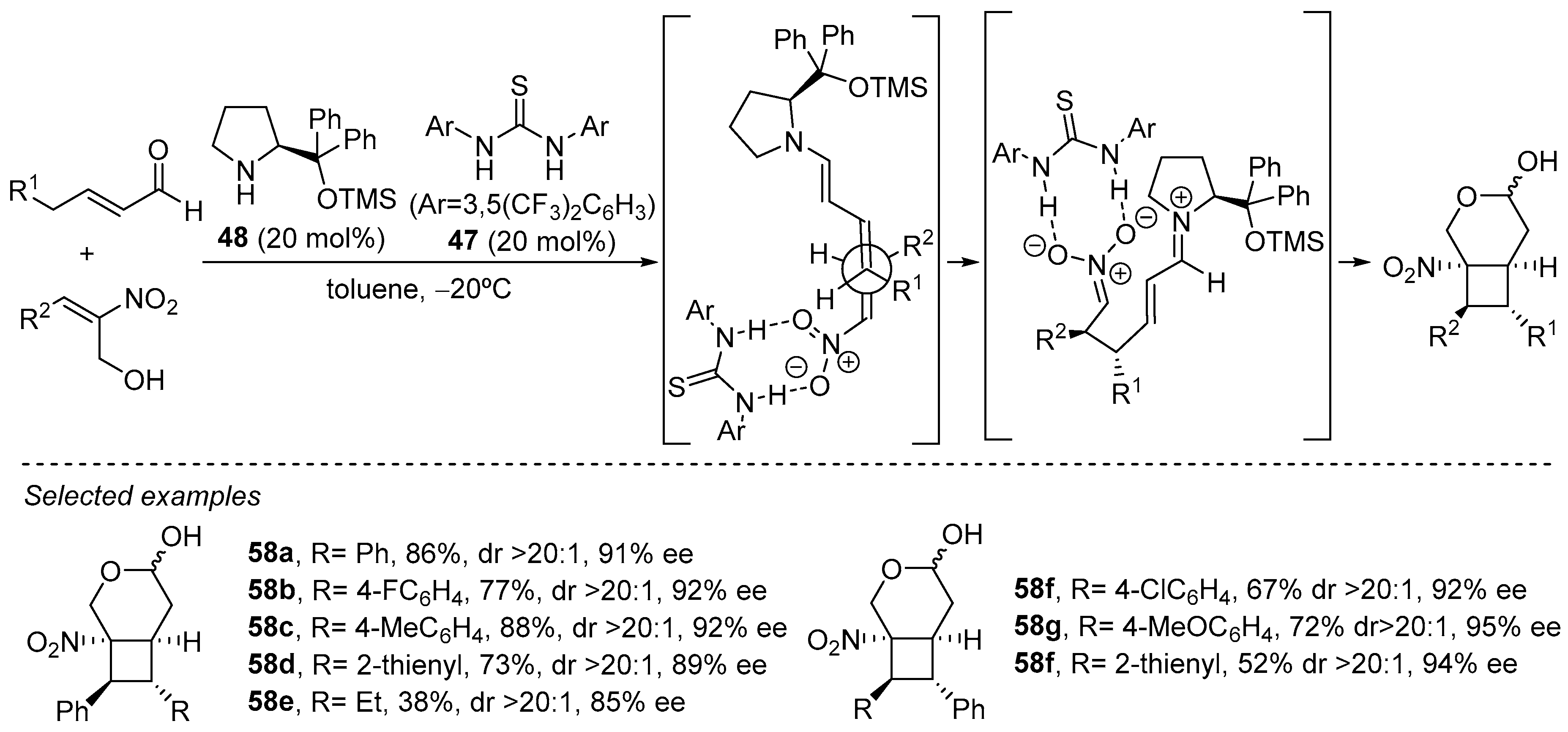 Catalysts 13 01091 sch021