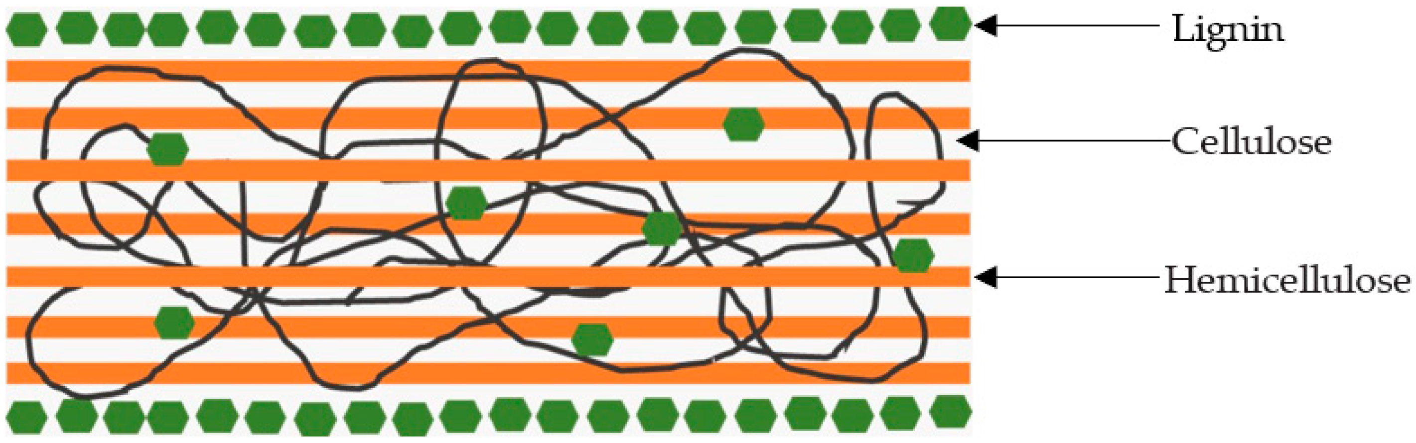 Catalysts 13 01093 g003 Catalysts 13 01093 g003