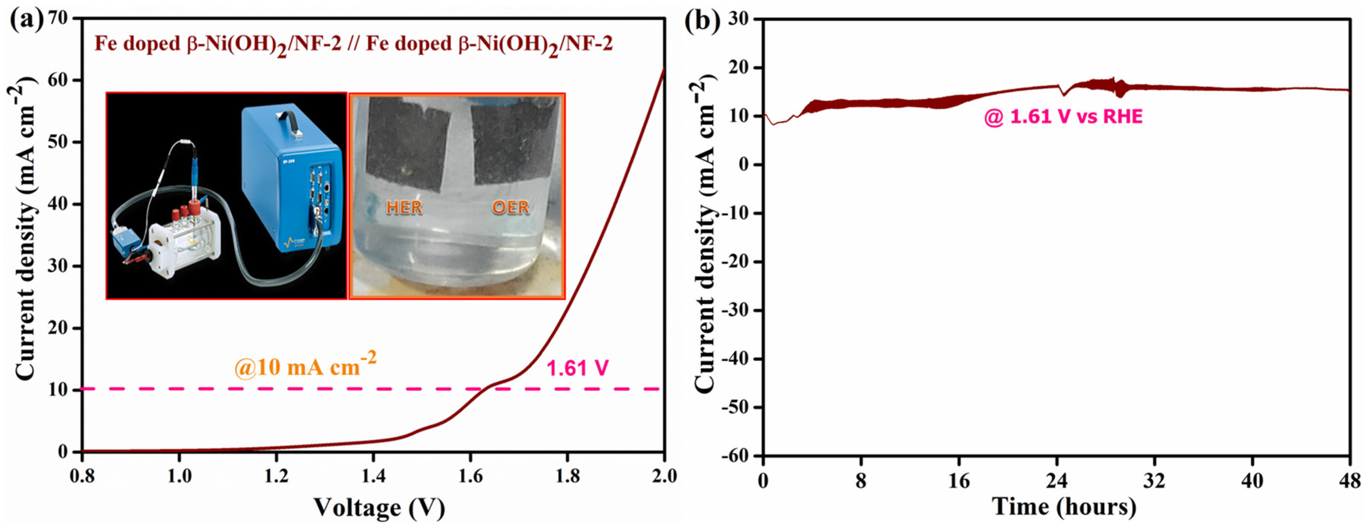 Catalysts 13 01095 g007 Catalysts 13 01095 g007