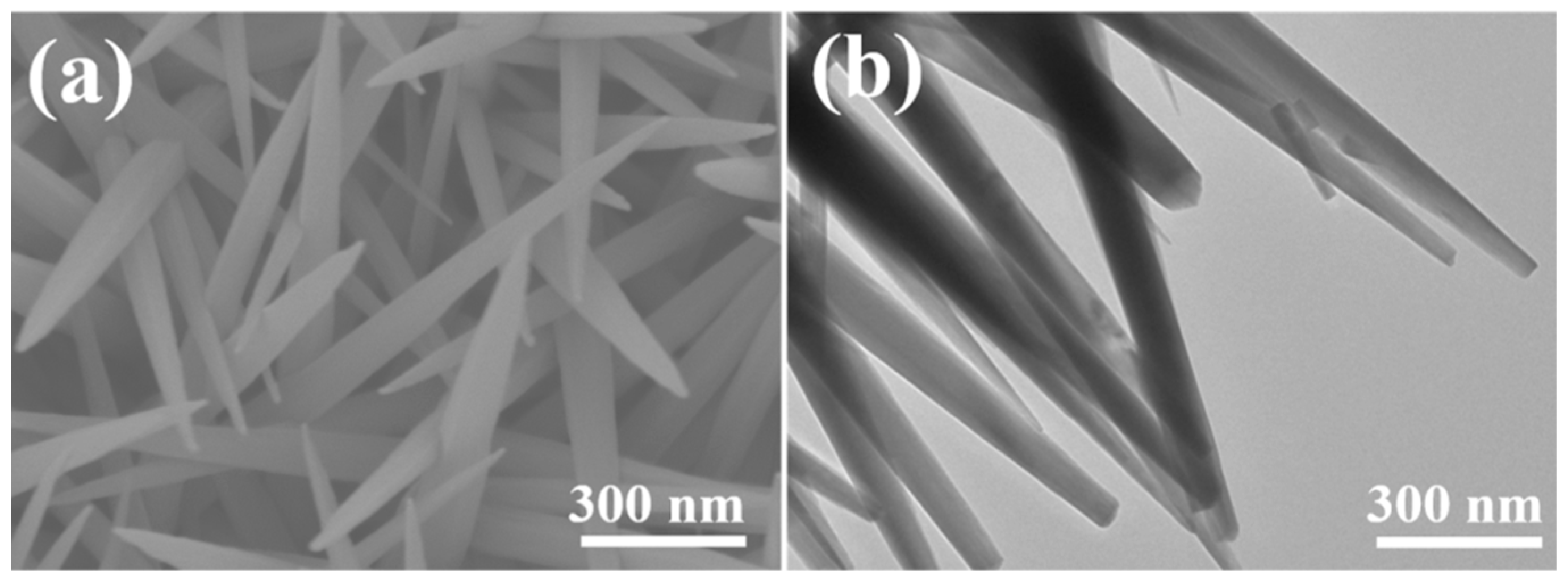 Catalysts 13 01099 g002 Catalysts 13 01099 g002
