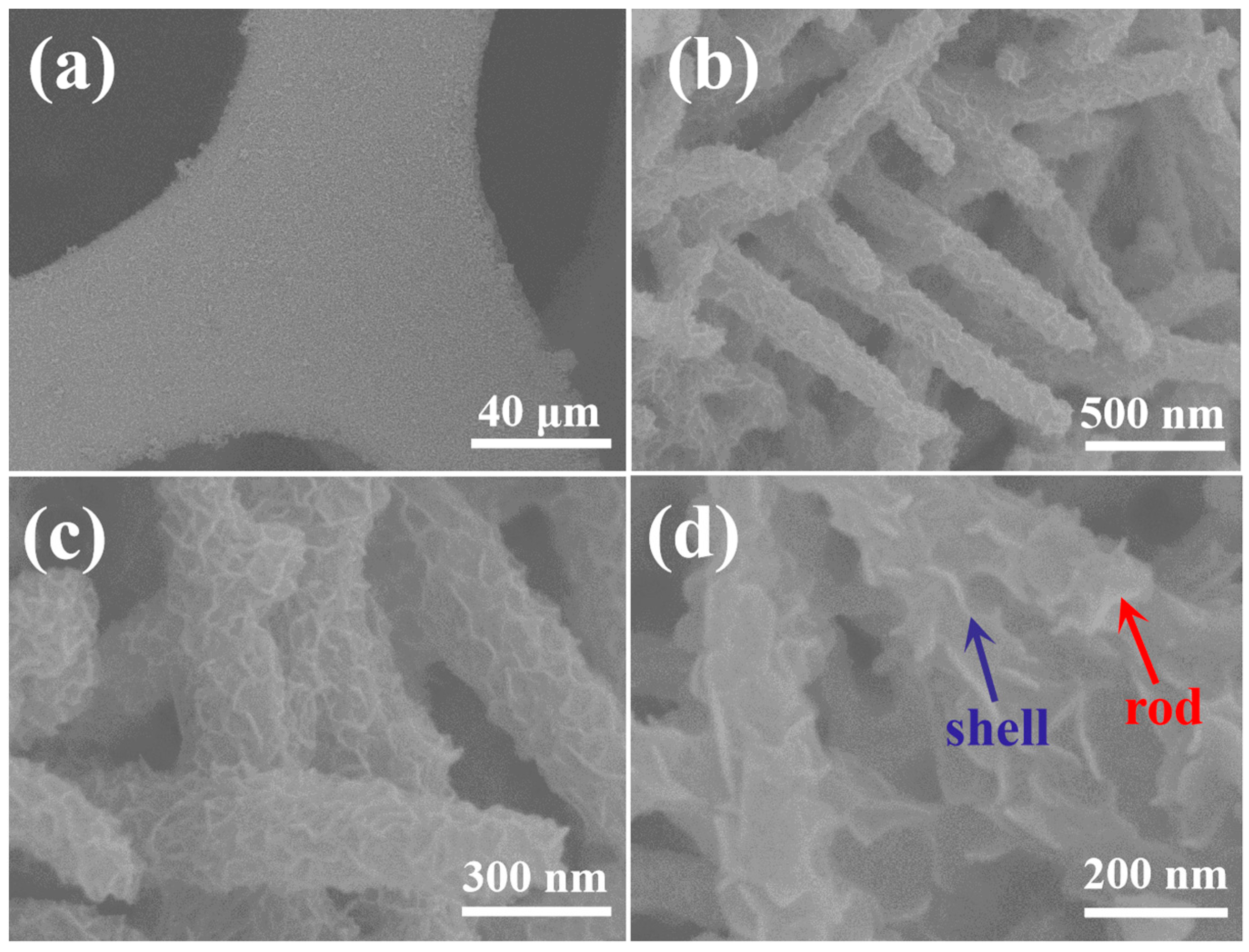 Catalysts 13 01099 g003 Catalysts 13 01099 g003