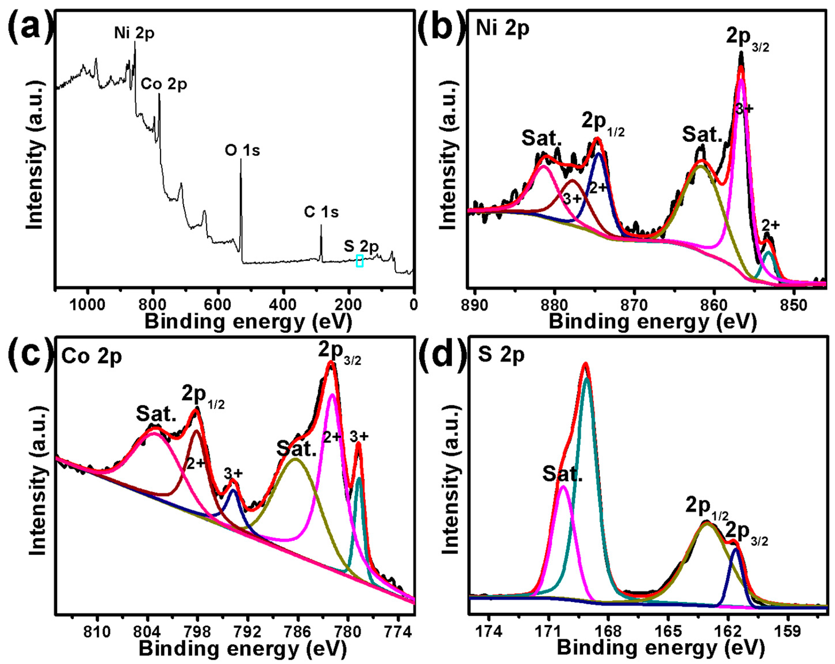 Catalysts 13 01099 g005 Catalysts 13 01099 g005