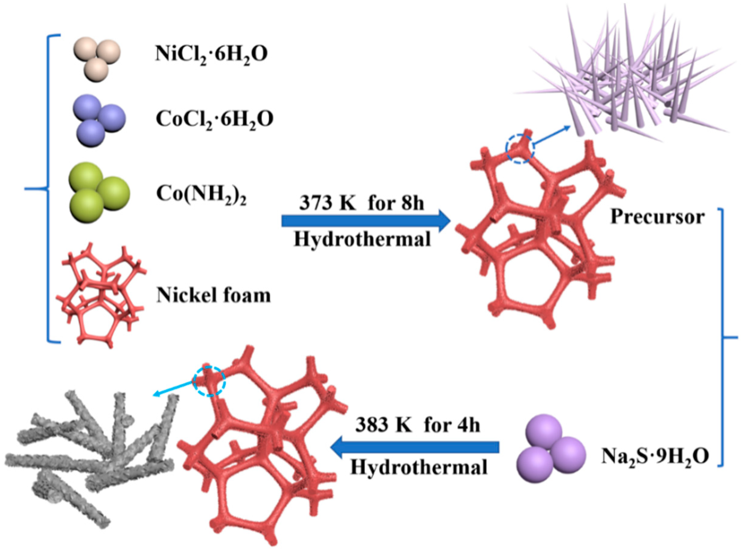 Catalysts 13 01099 sch001 Catalysts 13 01099 sch001