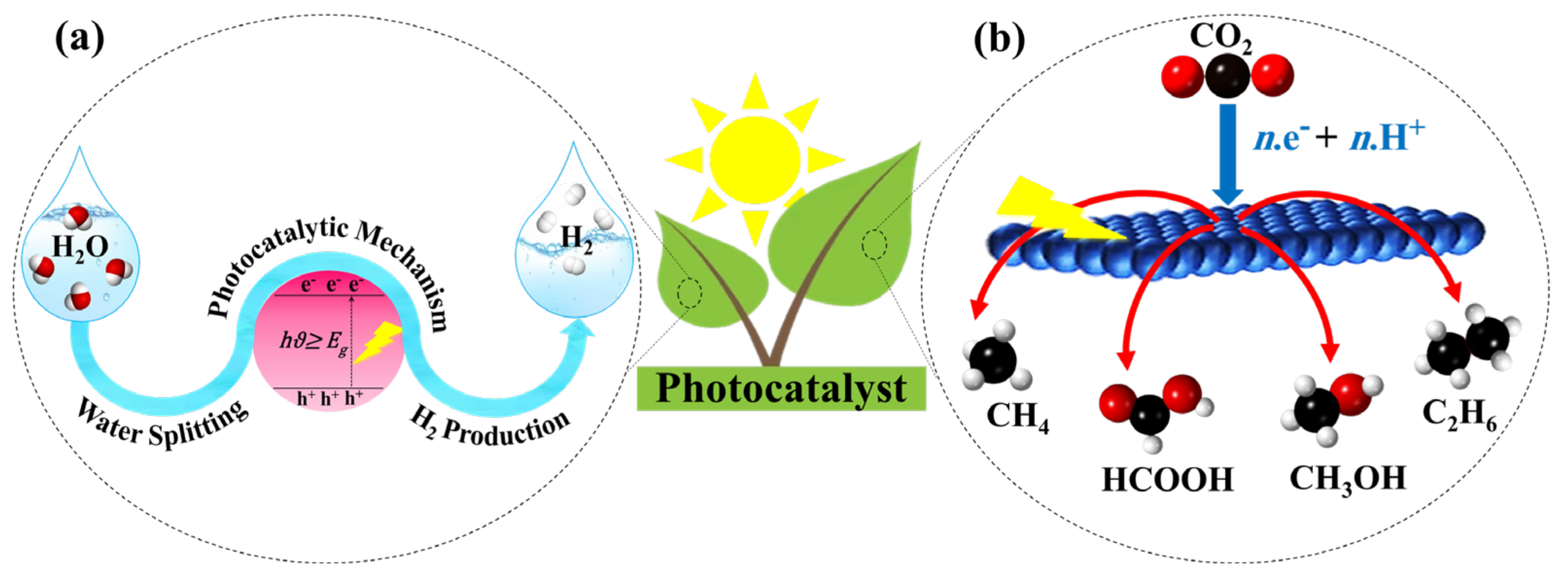 Catalysts 13 01102 g001 Catalysts 13 01102 g001