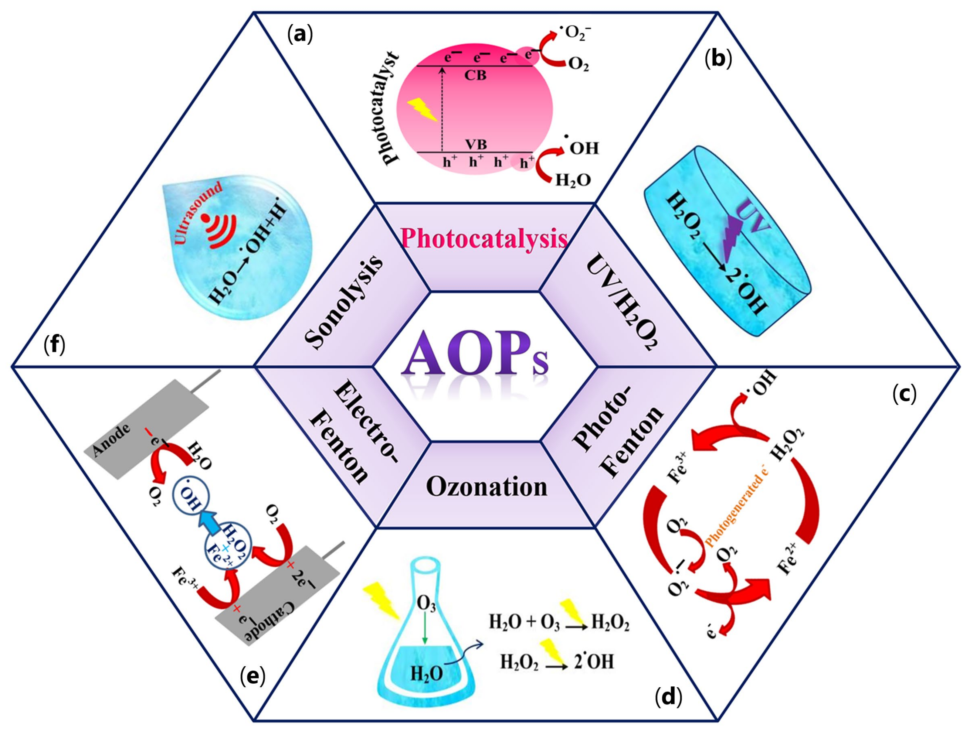 Catalysts 13 01102 g004 Catalysts 13 01102 g004
