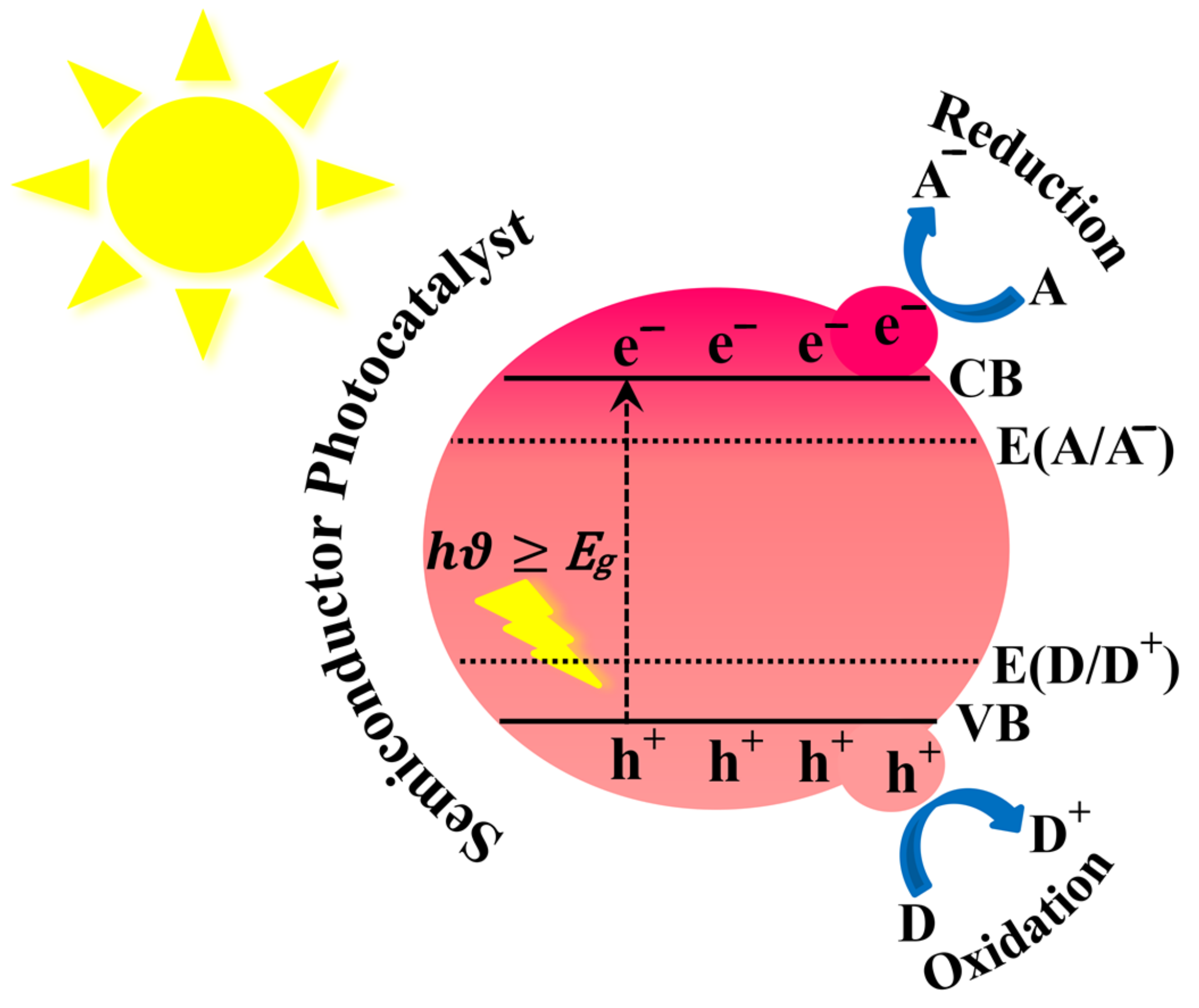 Catalysts 13 01102 g008 Catalysts 13 01102 g008