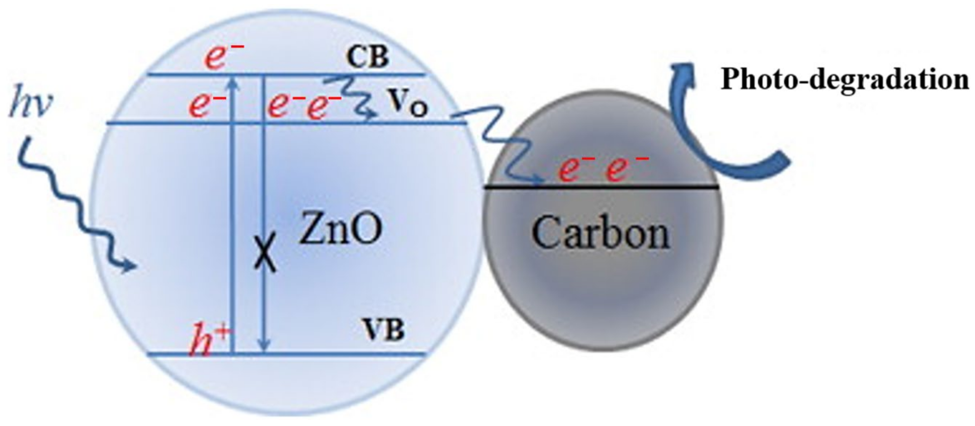 Catalysts 13 01102 g012 Catalysts 13 01102 g012