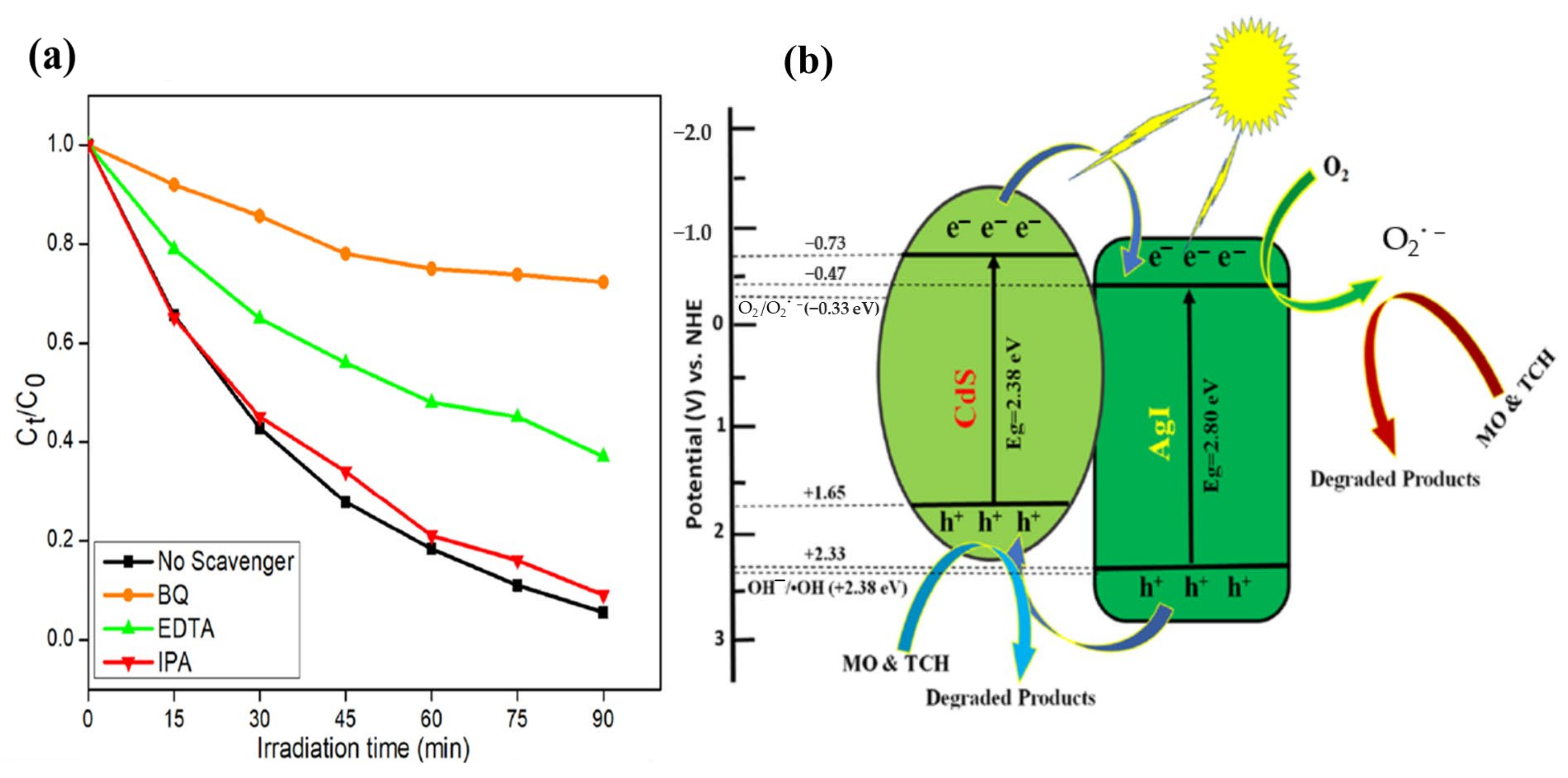 Catalysts 13 01102 g015 Catalysts 13 01102 g015