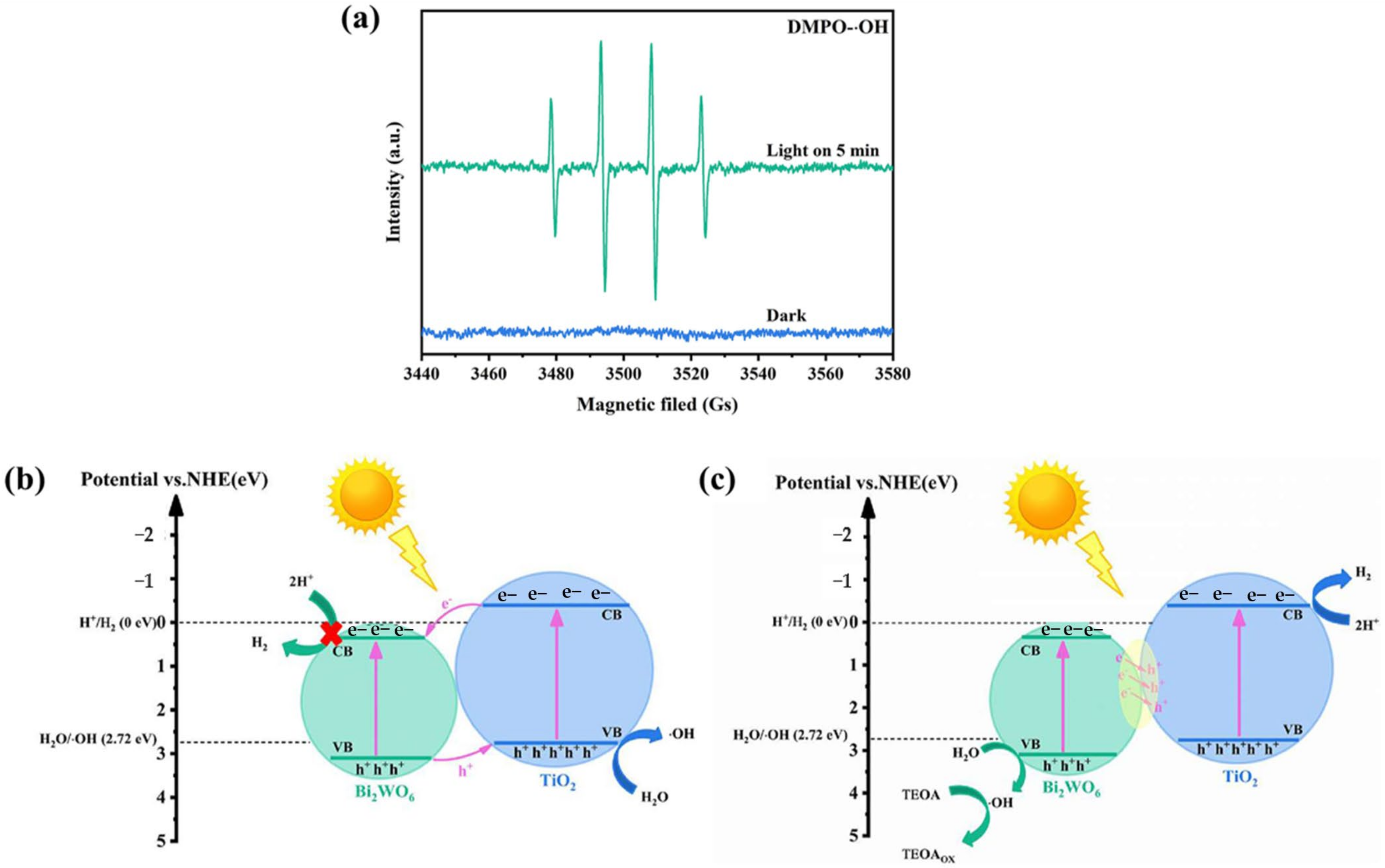 Catalysts 13 01102 g017 Catalysts 13 01102 g017