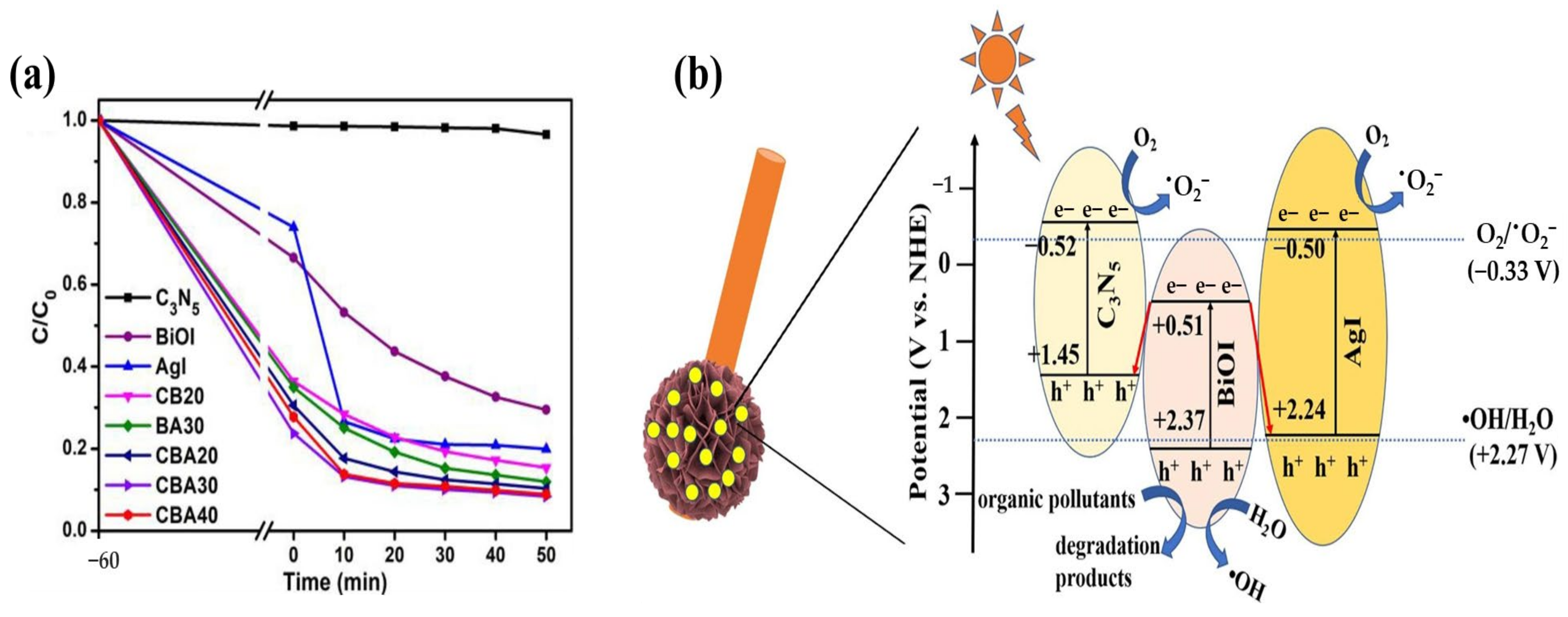 Catalysts 13 01102 g021 Catalysts 13 01102 g021
