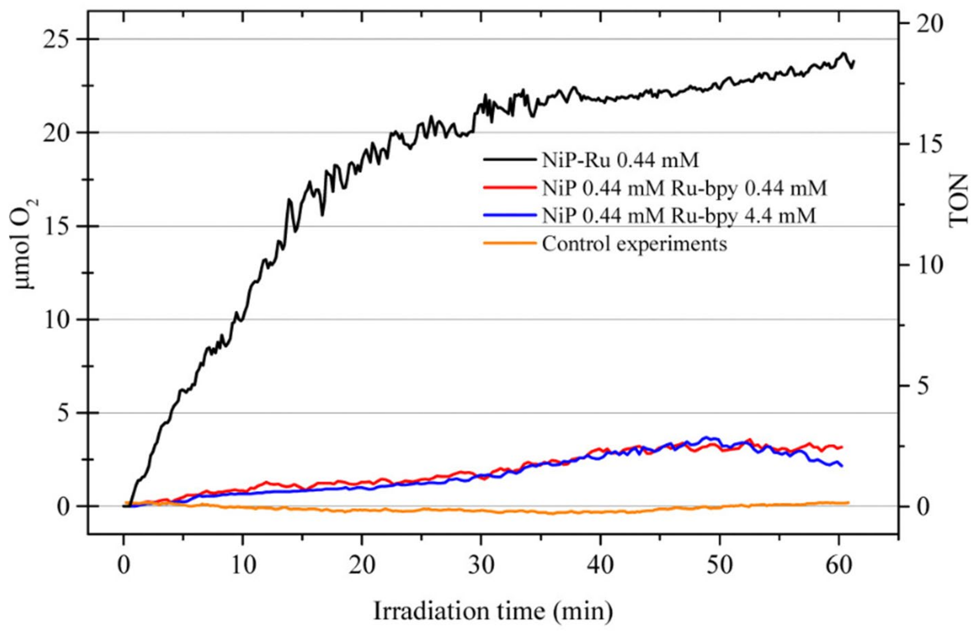 Catalysts 13 01102 g032 Catalysts 13 01102 g032