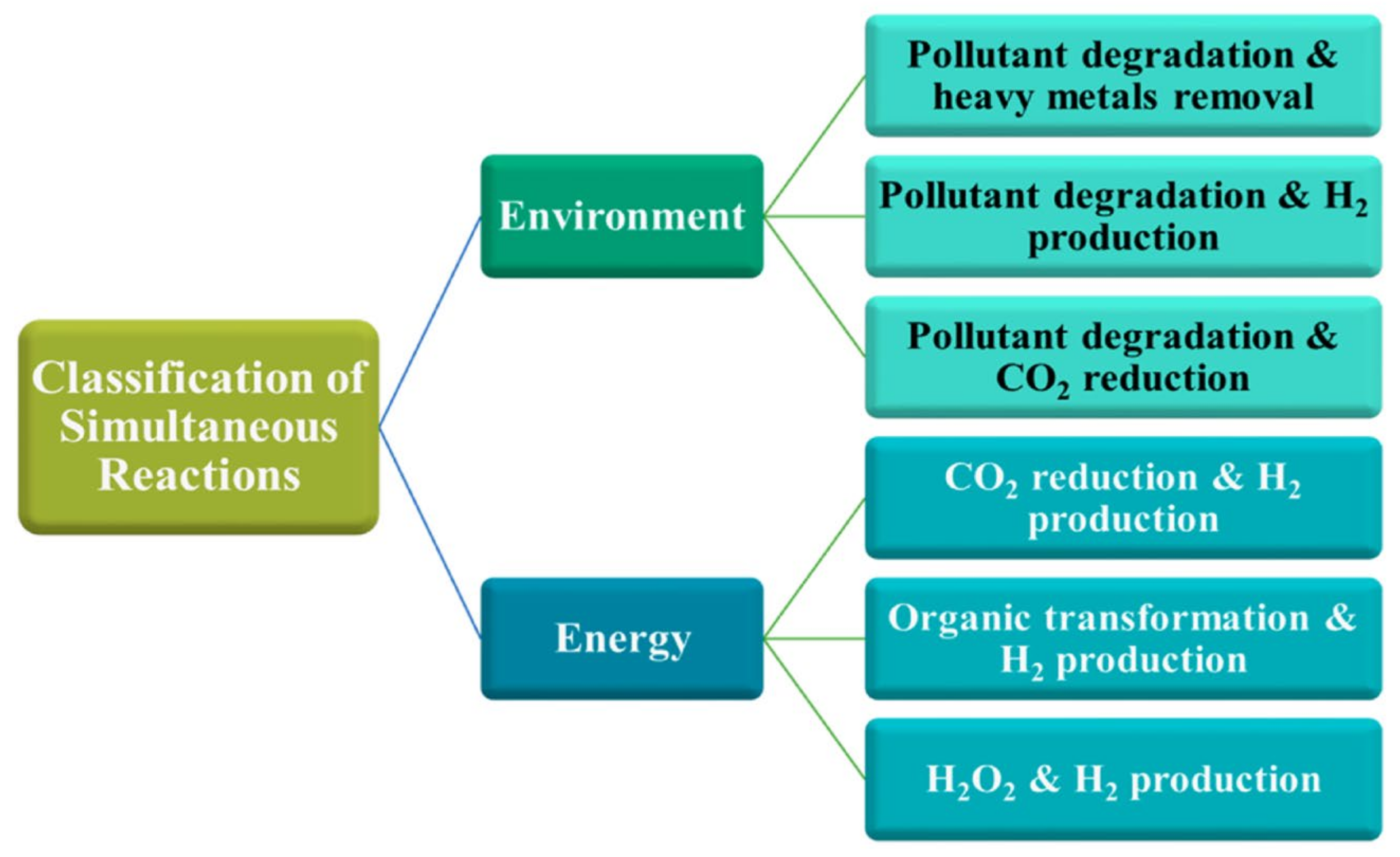 Catalysts 13 01102 g033 Catalysts 13 01102 g033