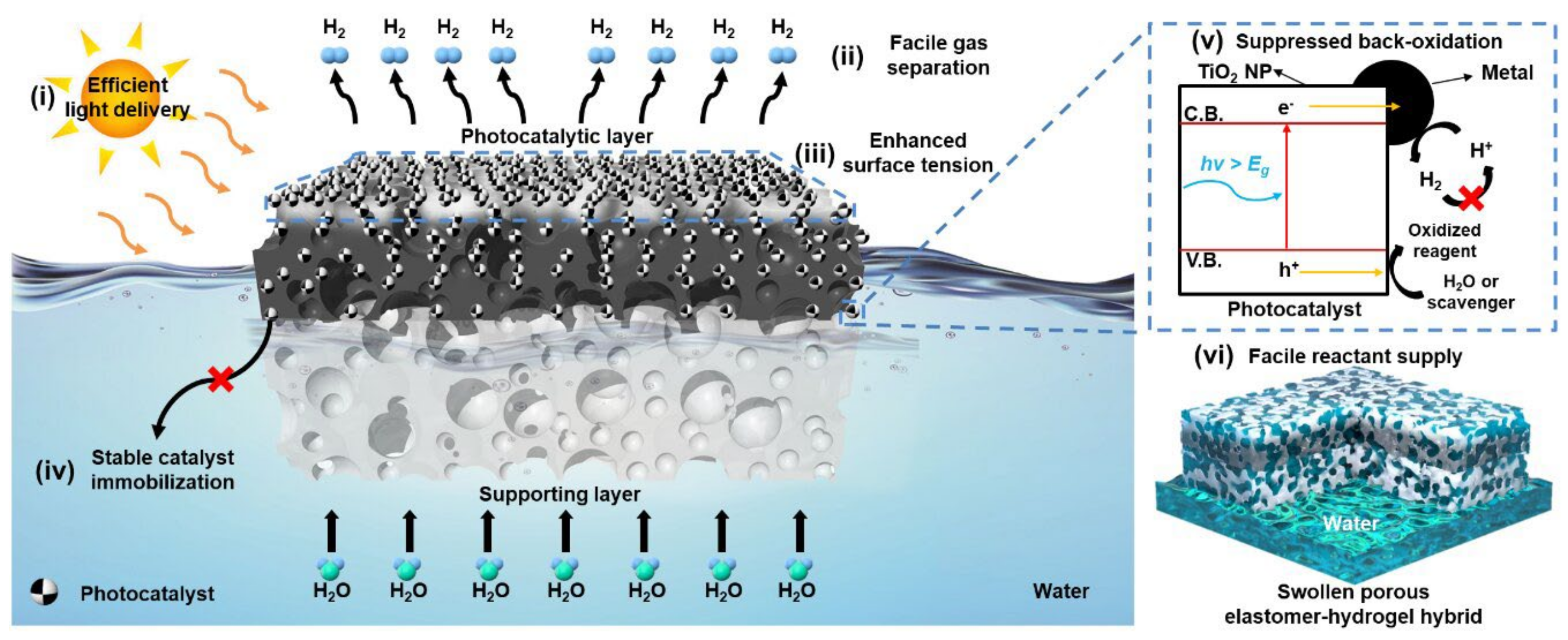 Catalysts 13 01102 g035 Catalysts 13 01102 g035