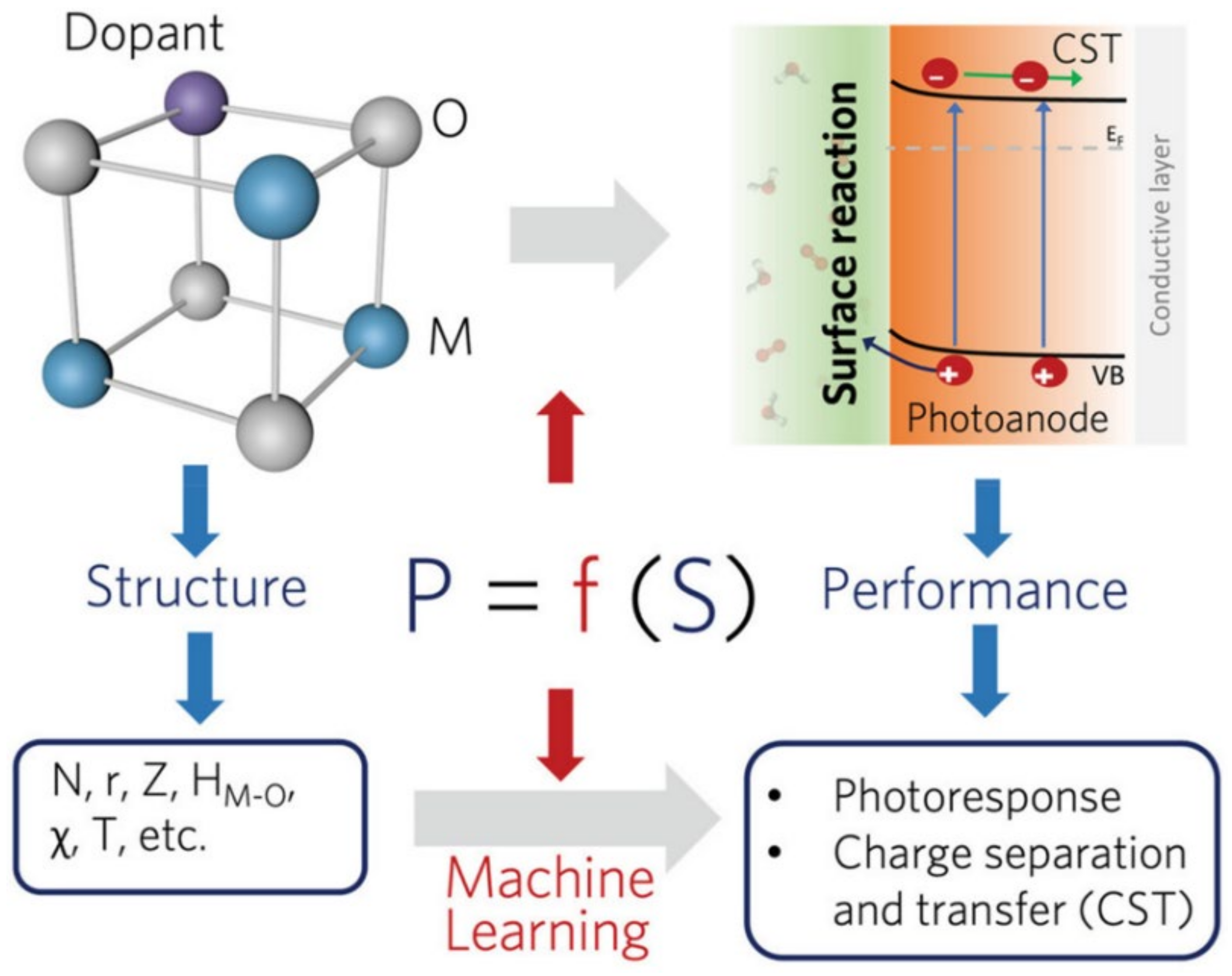 Catalysts 13 01102 g040 Catalysts 13 01102 g040