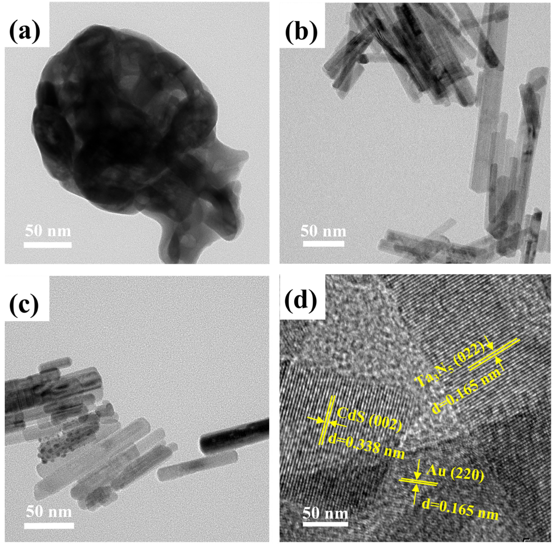 Catalysts 13 01103 g001 Catalysts 13 01103 g001