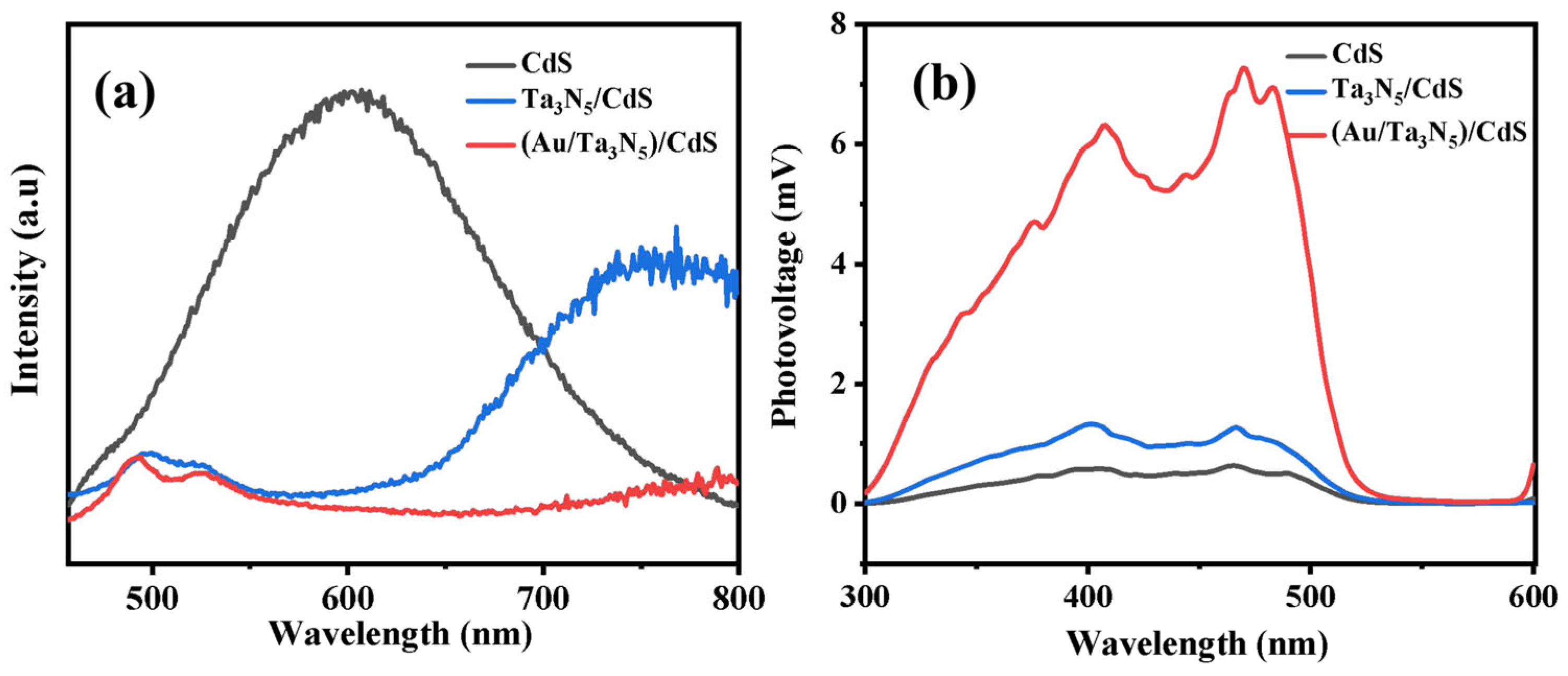 Catalysts 13 01103 g005 Catalysts 13 01103 g005