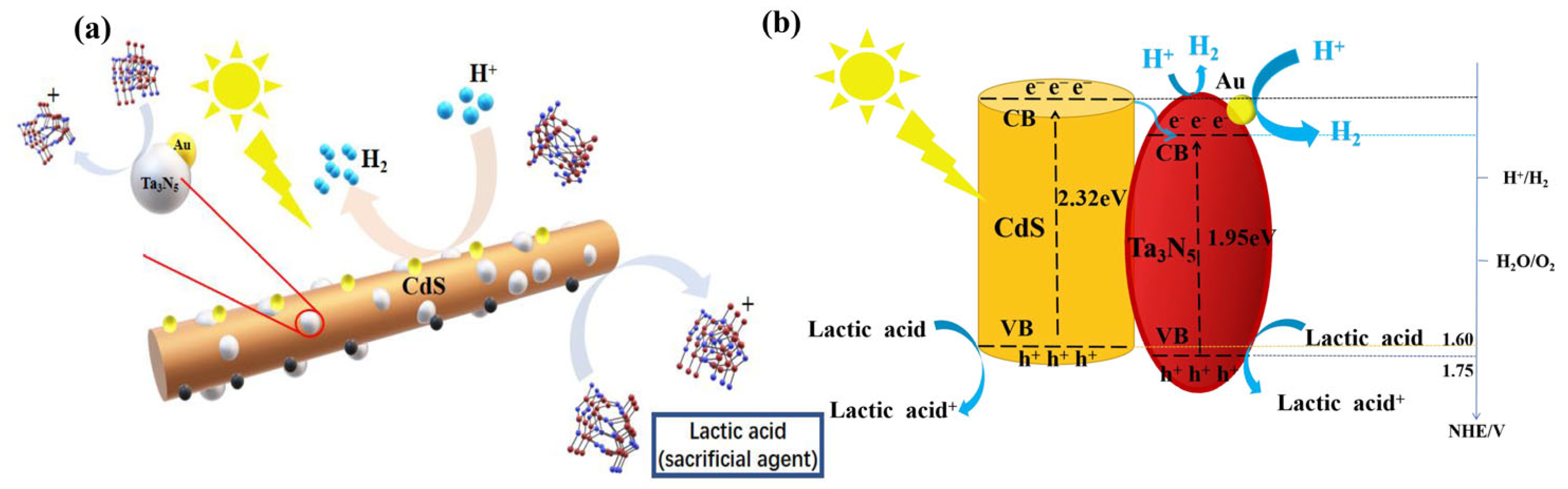 Catalysts 13 01103 sch001 Catalysts 13 01103 sch001