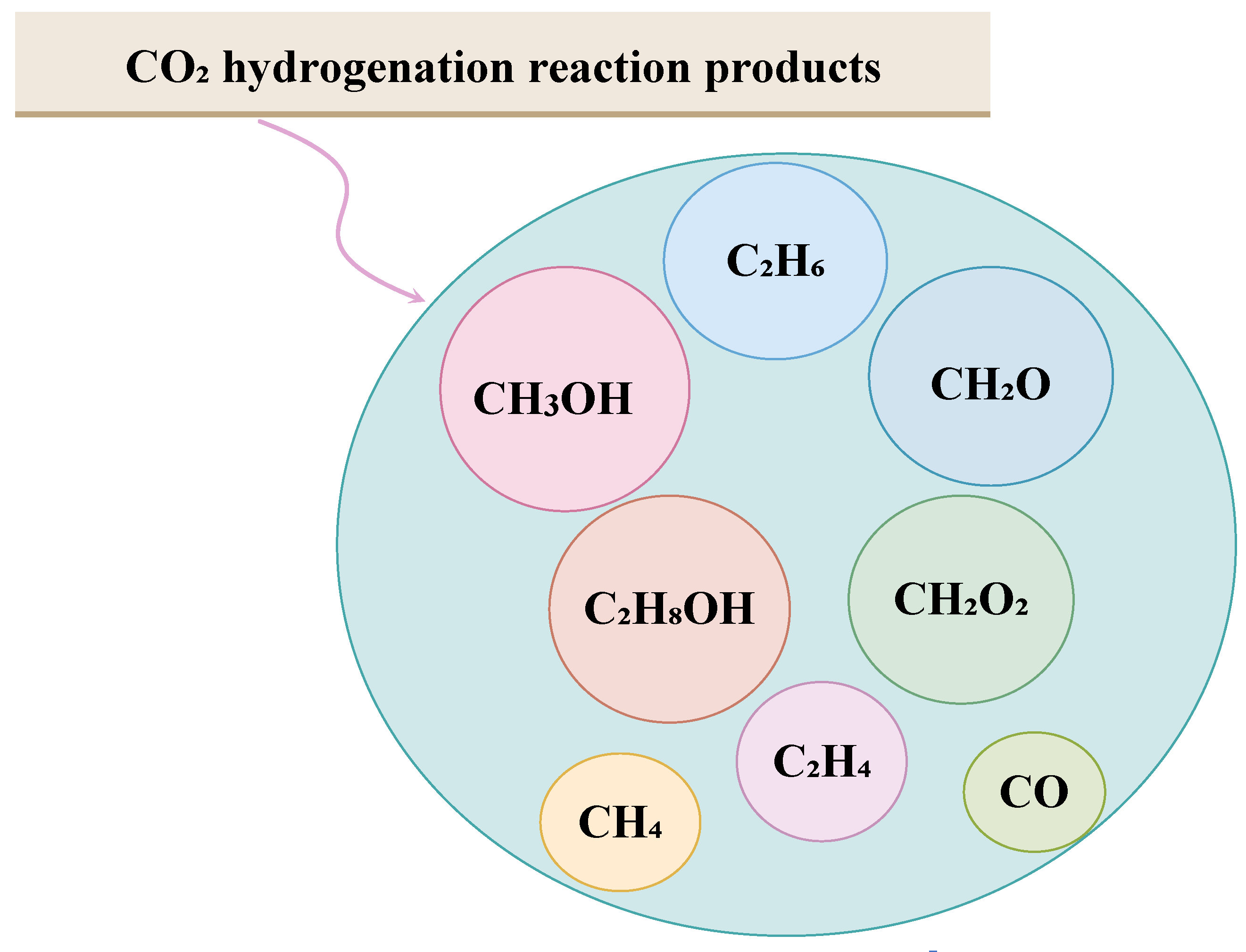 Catalysts 13 01104 g002