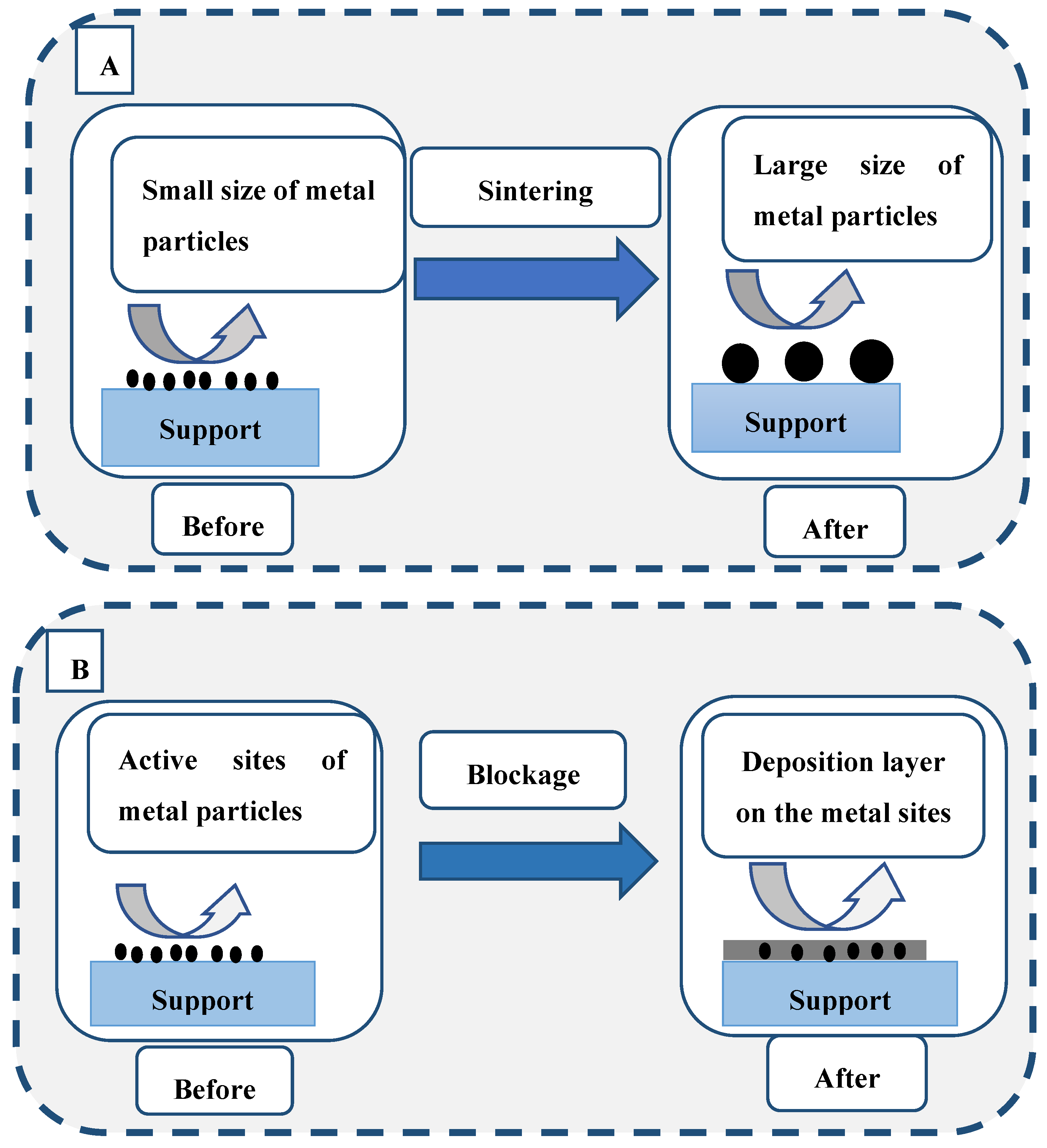 Catalysts 13 01104 g005