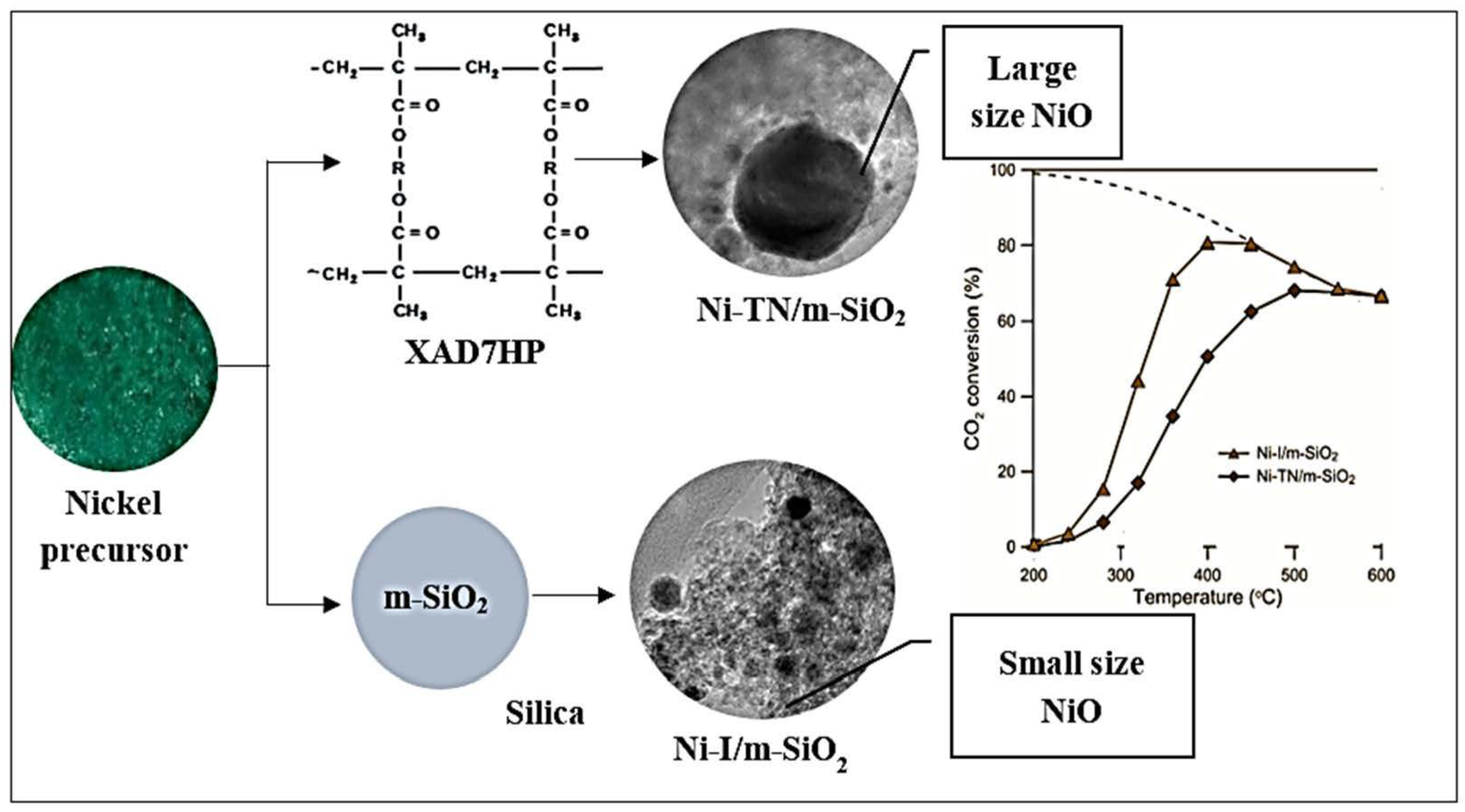 Catalysts 13 01104 g011