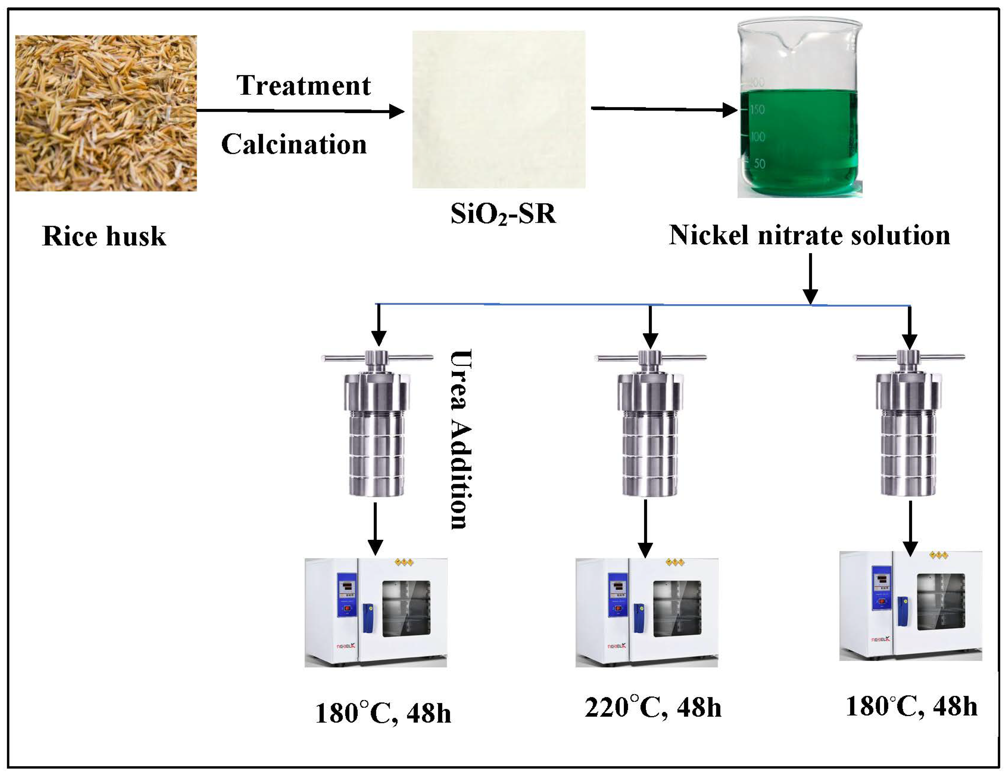 Catalysts 13 01104 g012